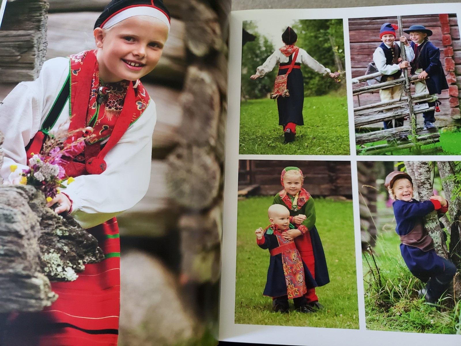 Scandinavian Folklore Vol II book by Laila Duran and Anne Kristin Moe
