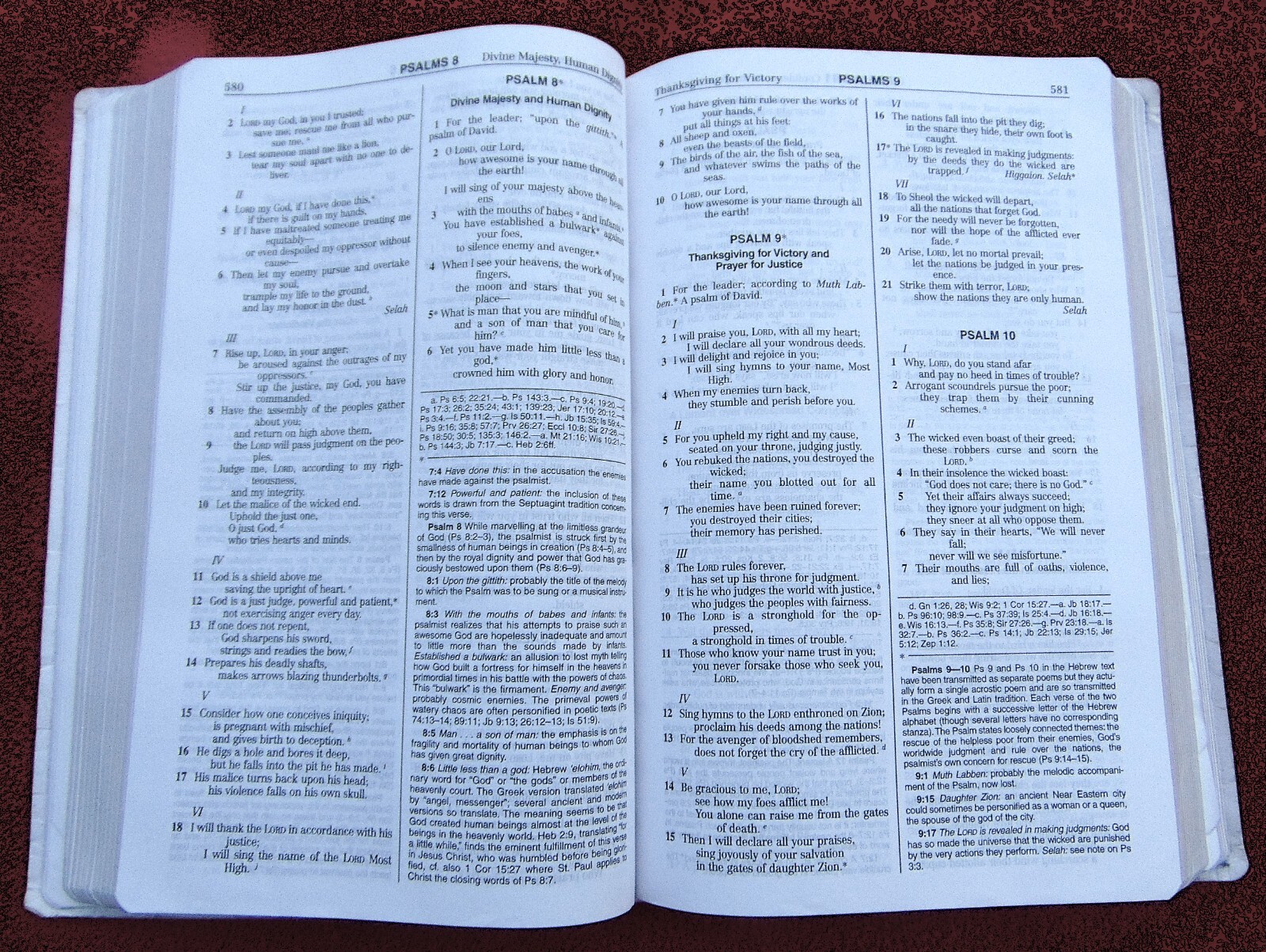 THE NEW AMERICAN BIBLE REVISED EDITION ~ CATHOLIC WORLD PRESS ~ 2011 ~WHITE