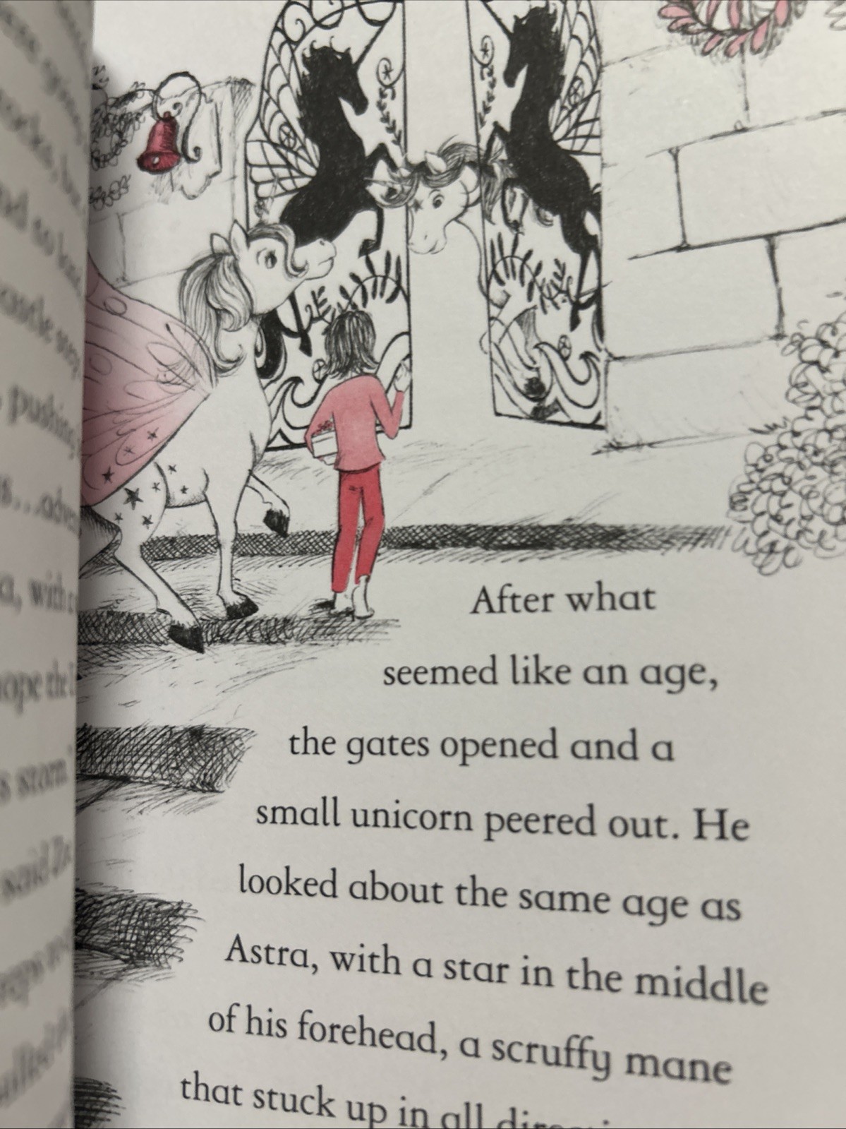 Fairy Unicorns Book Series Set of 9 Paperbacks by Zanna Davidson
