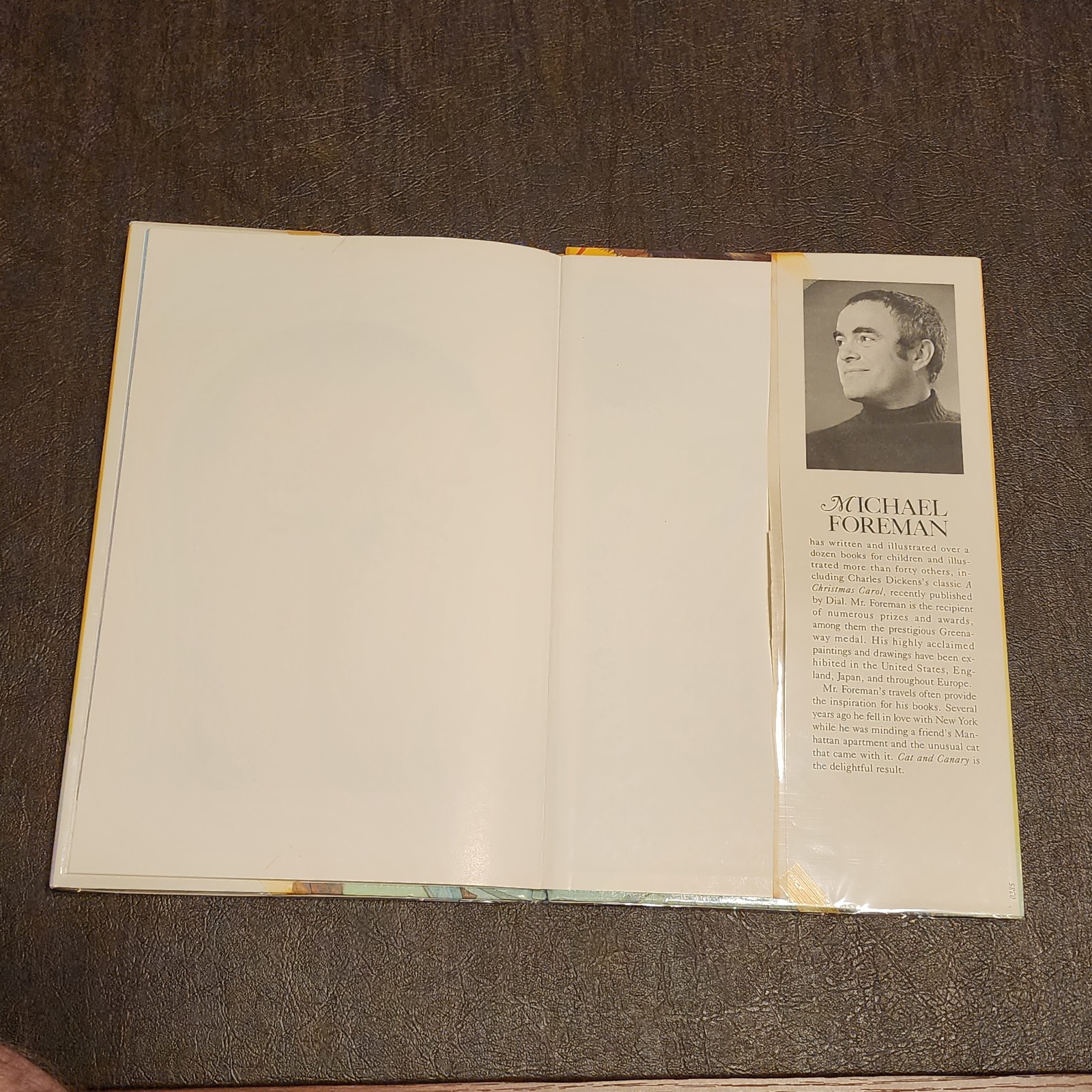 1st Edition Print – Cat and Canary Hardcover Michael Foreman Hardcover DJ GREAT