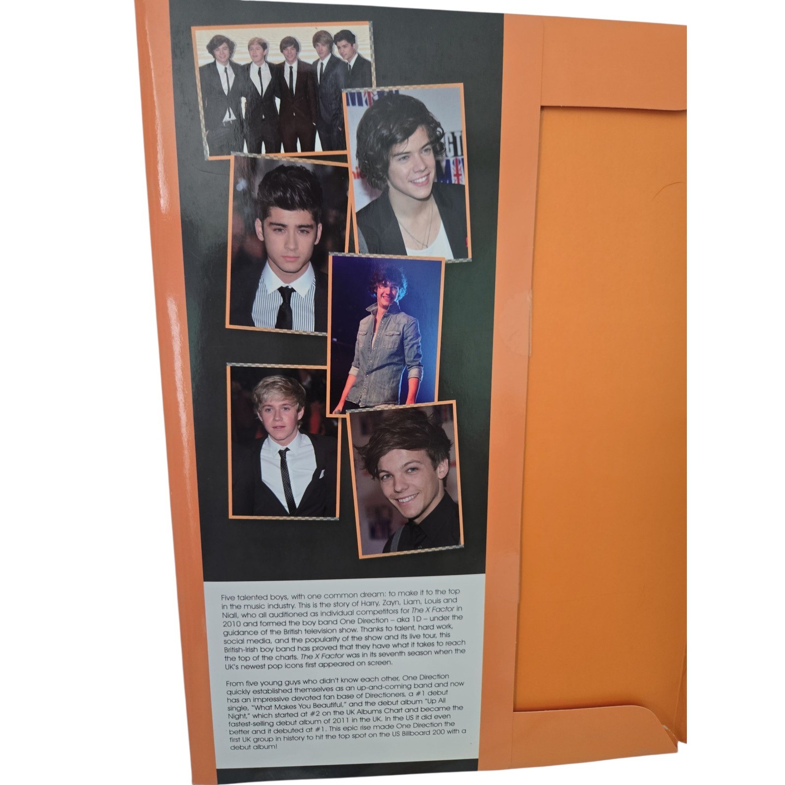 ONE DIRECTION 1D Book The Story So Far LIAM NIALL HARRY ZAYN LOUIS 6 Posters