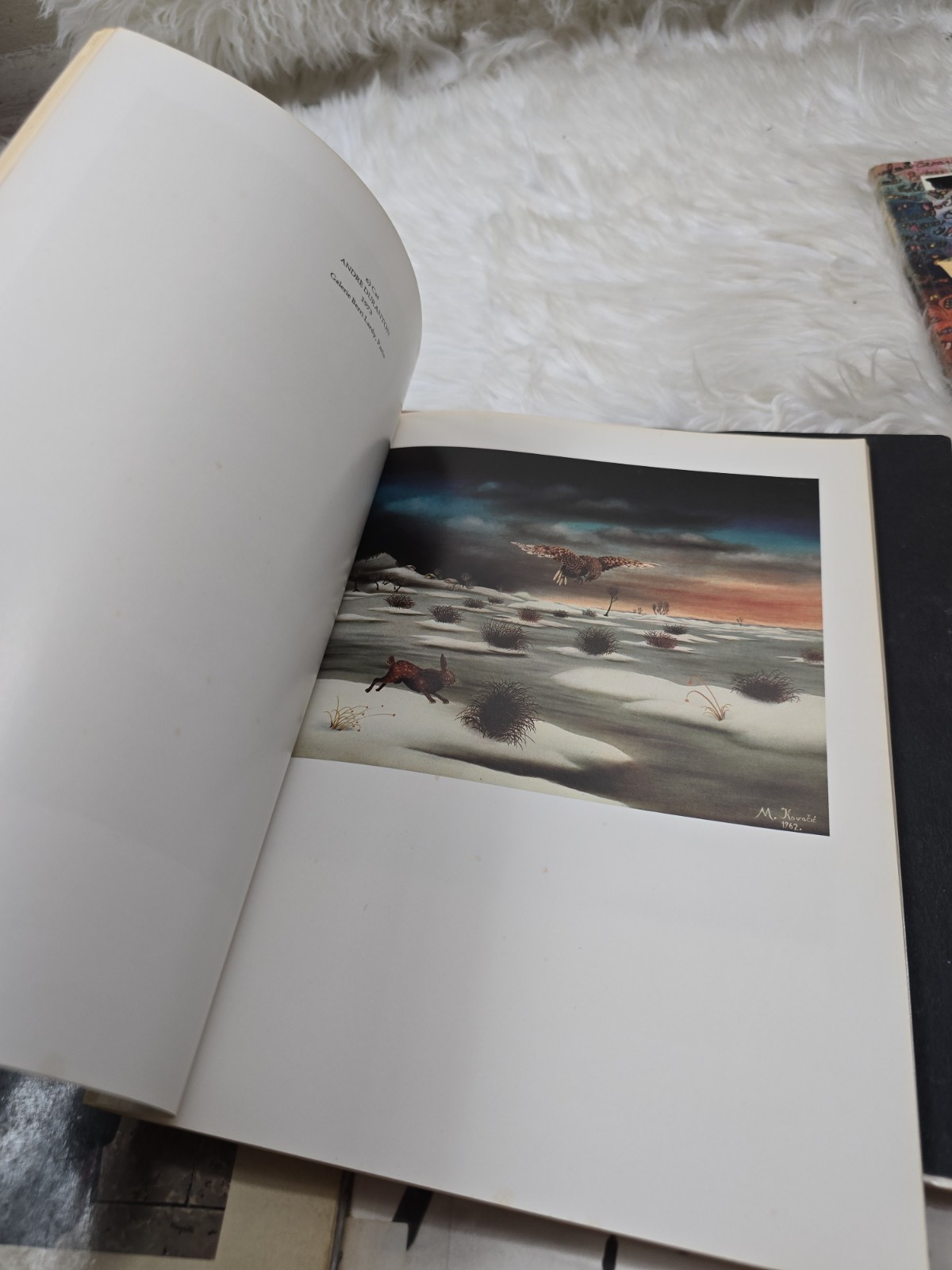 6 Vintage Art Design Color Graphic Print Photo Film Books How To Bundle Lot B10