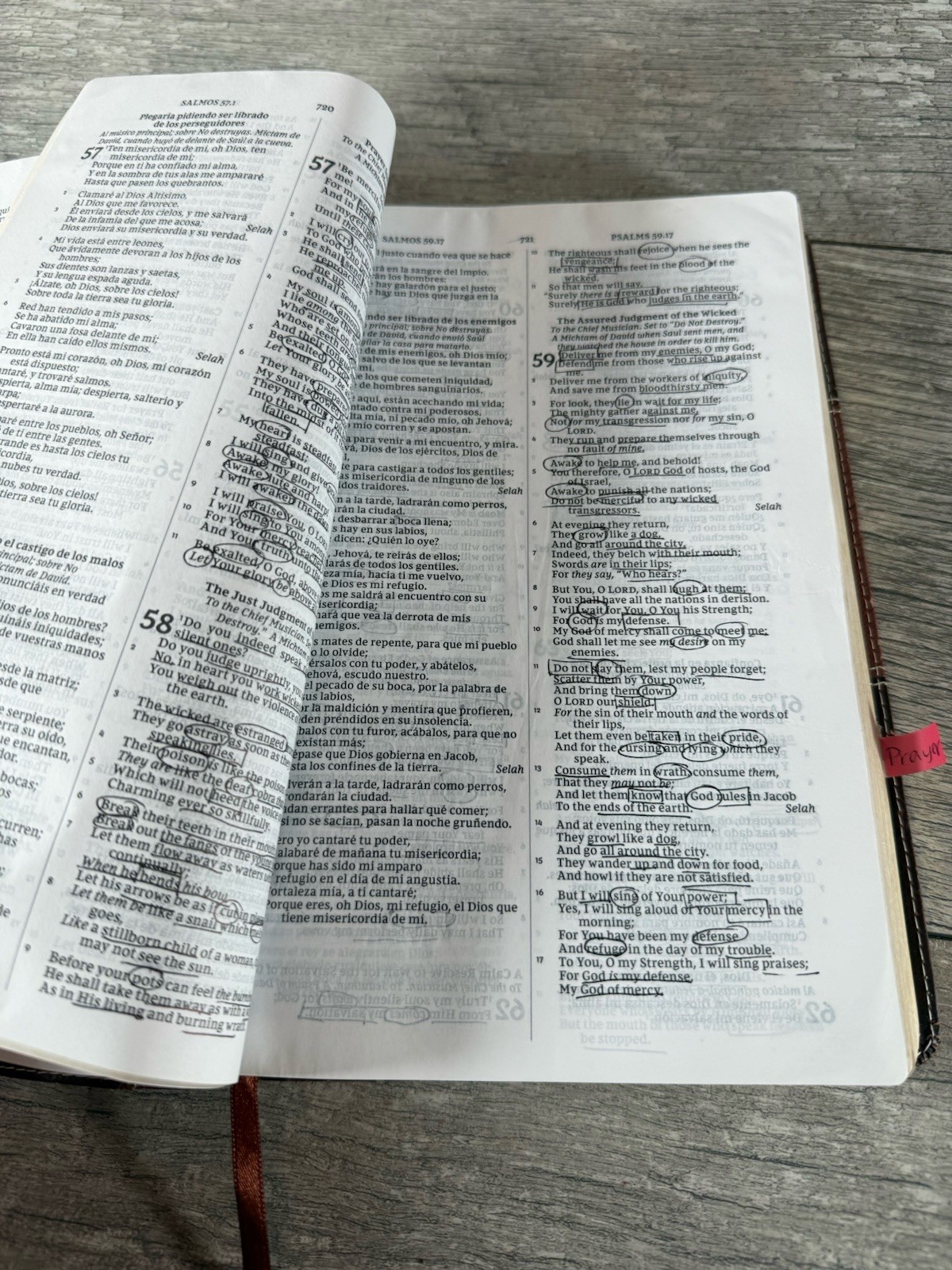 NKJV/RVR Bilingual Bible Leathersoft Brown (Spanish Edition) 2018 ( READ)