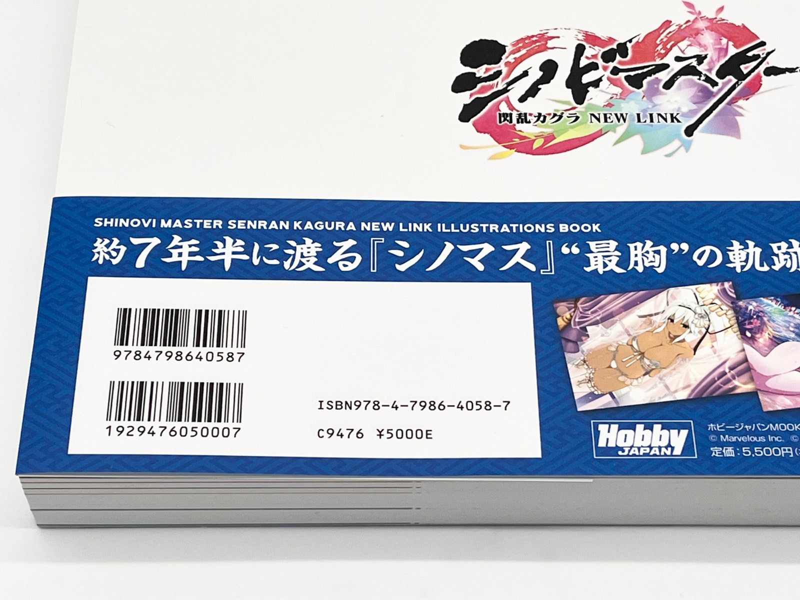 Shinobi Master Senran Kagura New Link Illustrations Book Vol 1-2 Japanese Text