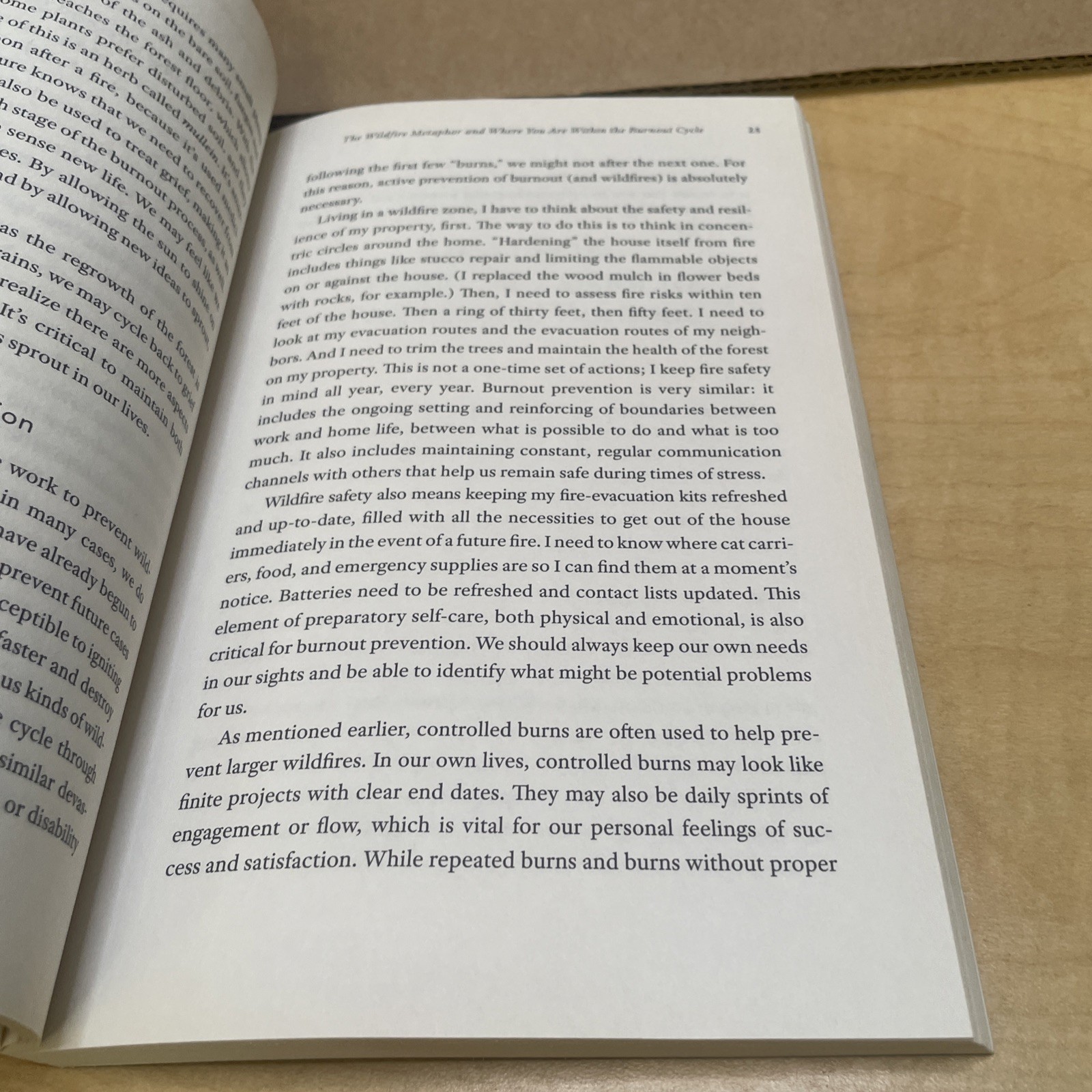 Burnout Recovery by Alicia King Anderson Paperback
