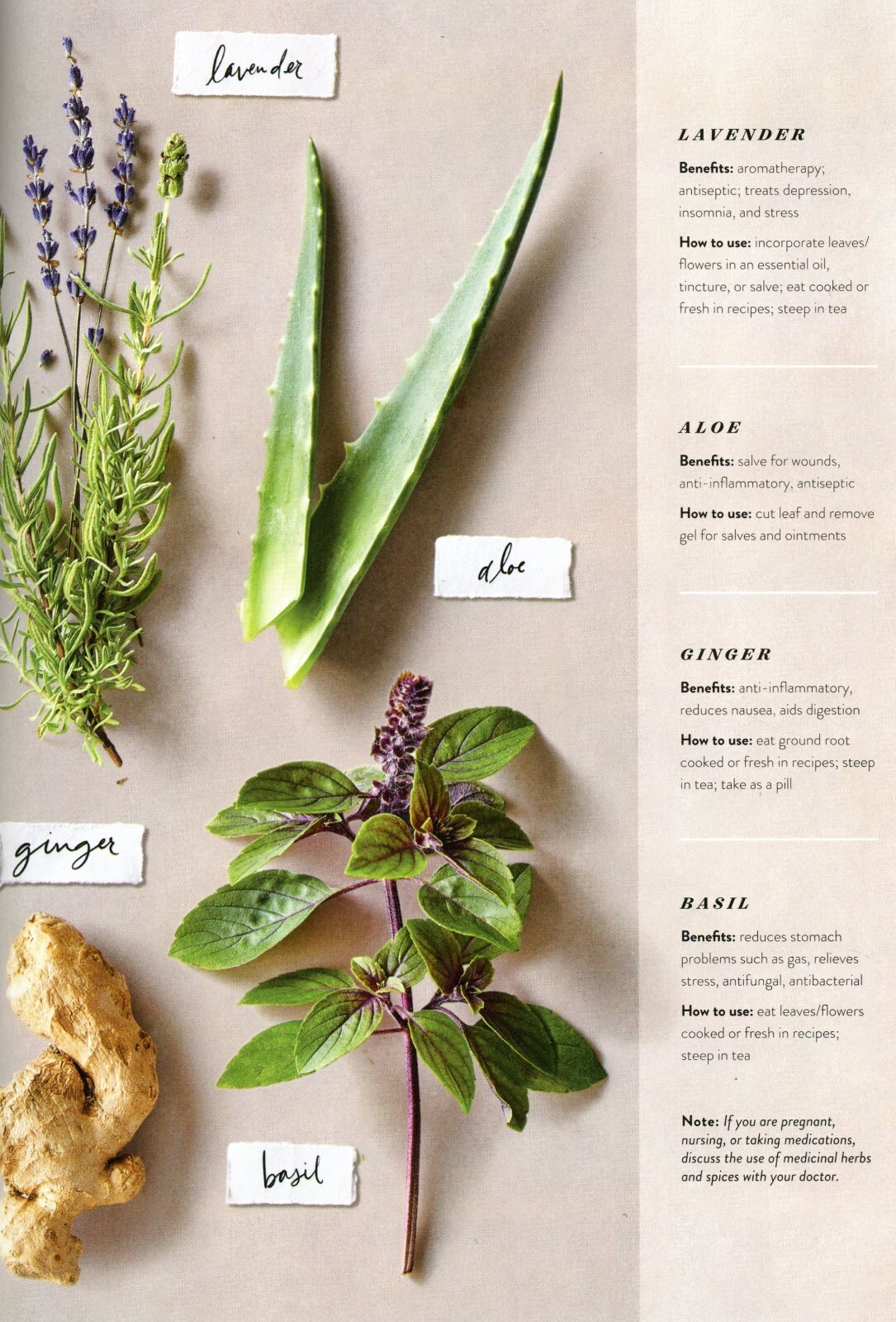 MAGNOLIA Magazine – Spring 2020 with Joanna Gaines on the cover