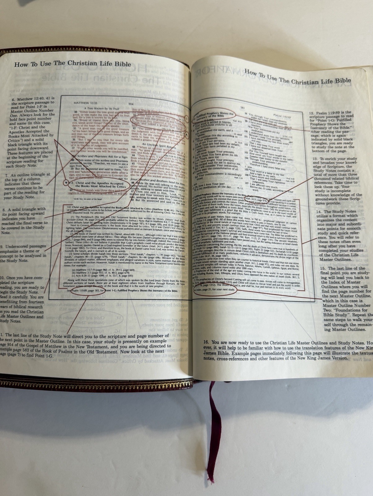 Christian Life Bible Burgundy Genuine Leather Leather NKJV