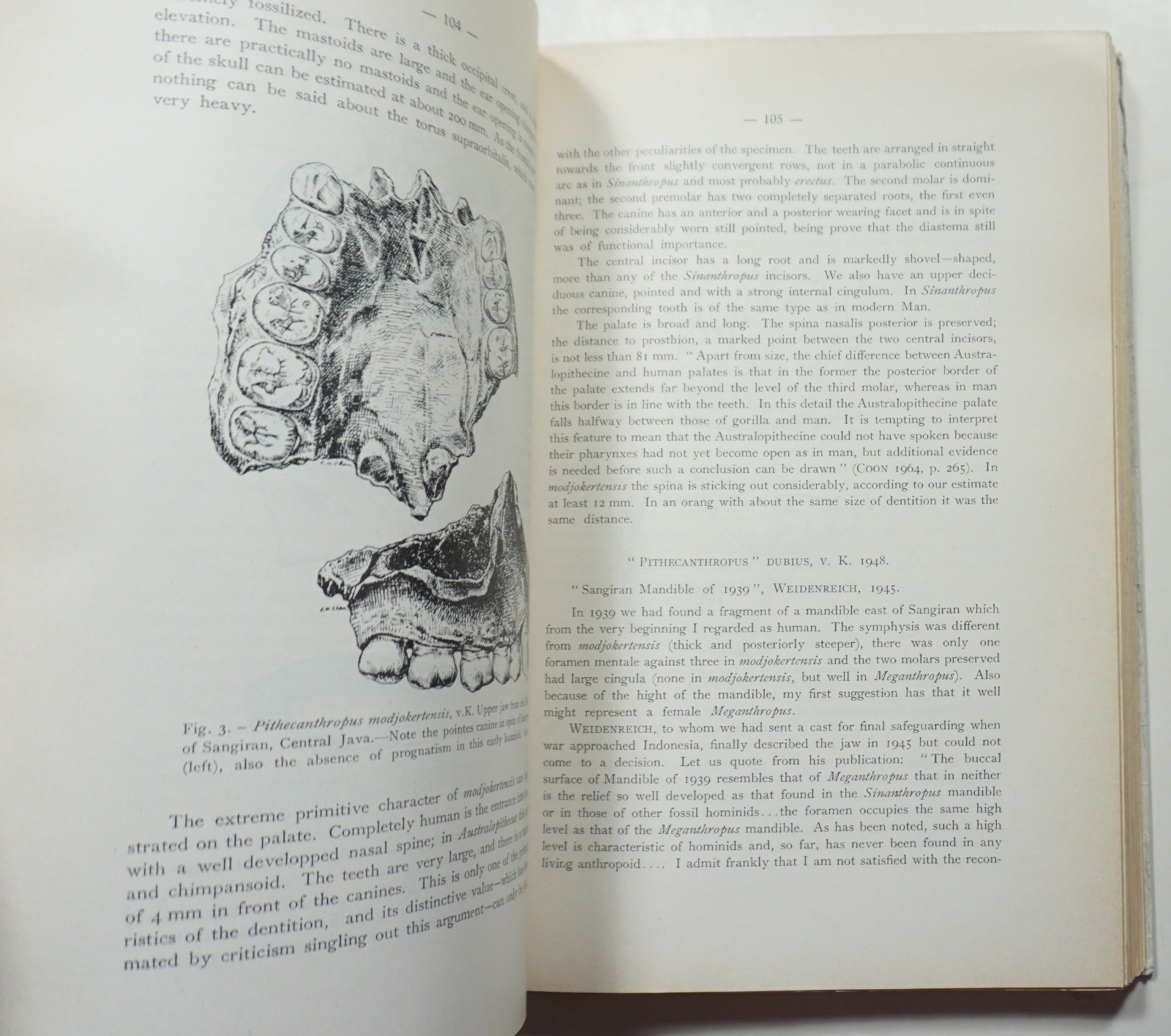 L’Origine dell’uomo 1973 The Origin of Man Darwin Evolution Paleoanthropology