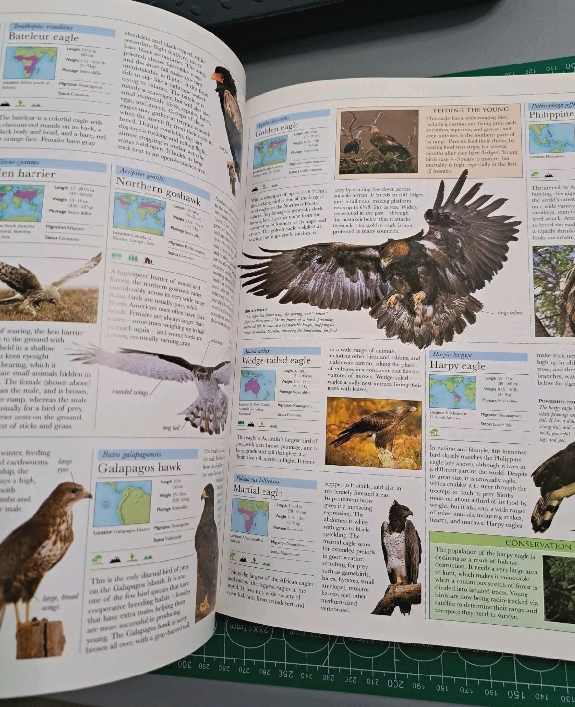 Smithsonian Institution Animal – Visual Guide to Wildlife Educational Book