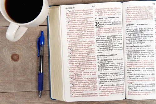 Biblia letra grande tamaño manual reina valera 1960 vinyl letra 12 puntos