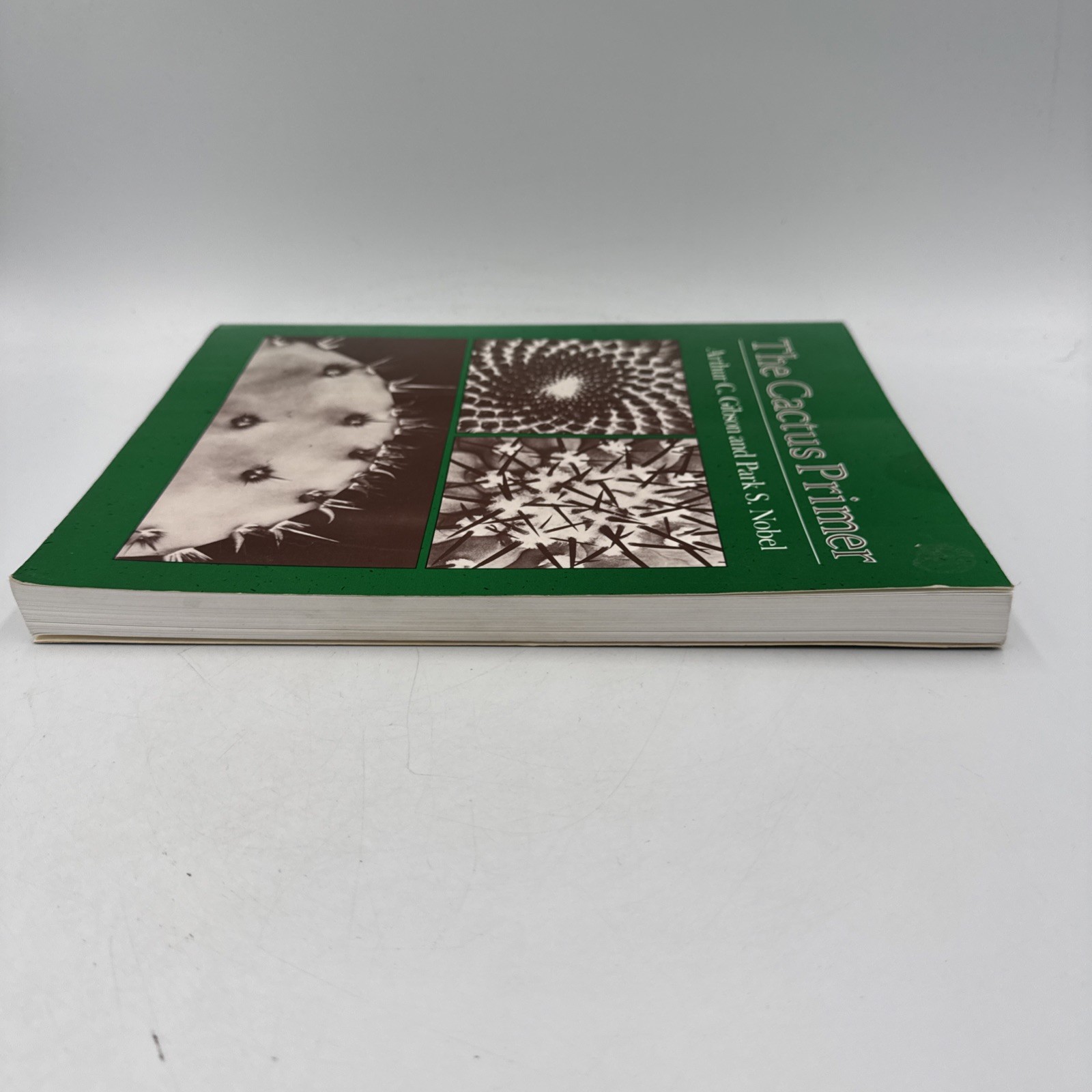 The Cactus Primer Paperback Arthur C., Nobel, Park S. Gibson