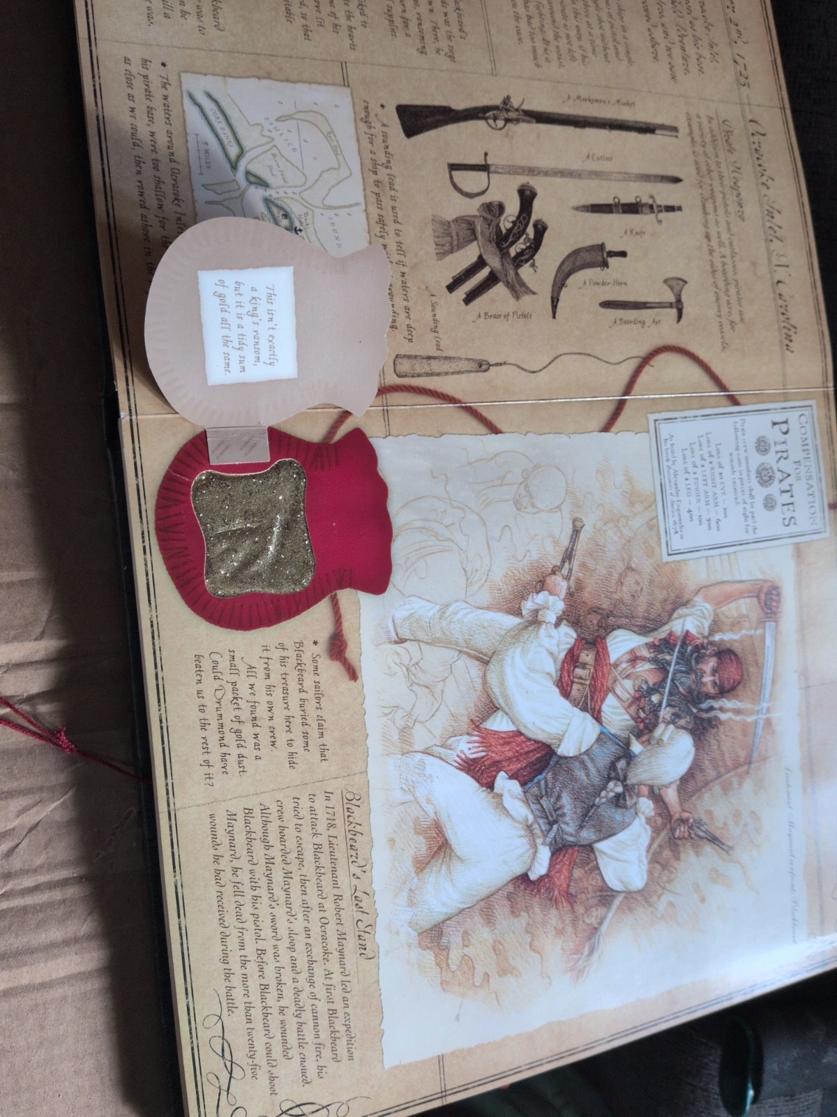 Pirateology A Pirate Hunter’s Companion Interactive Book Treasure Map Pirate