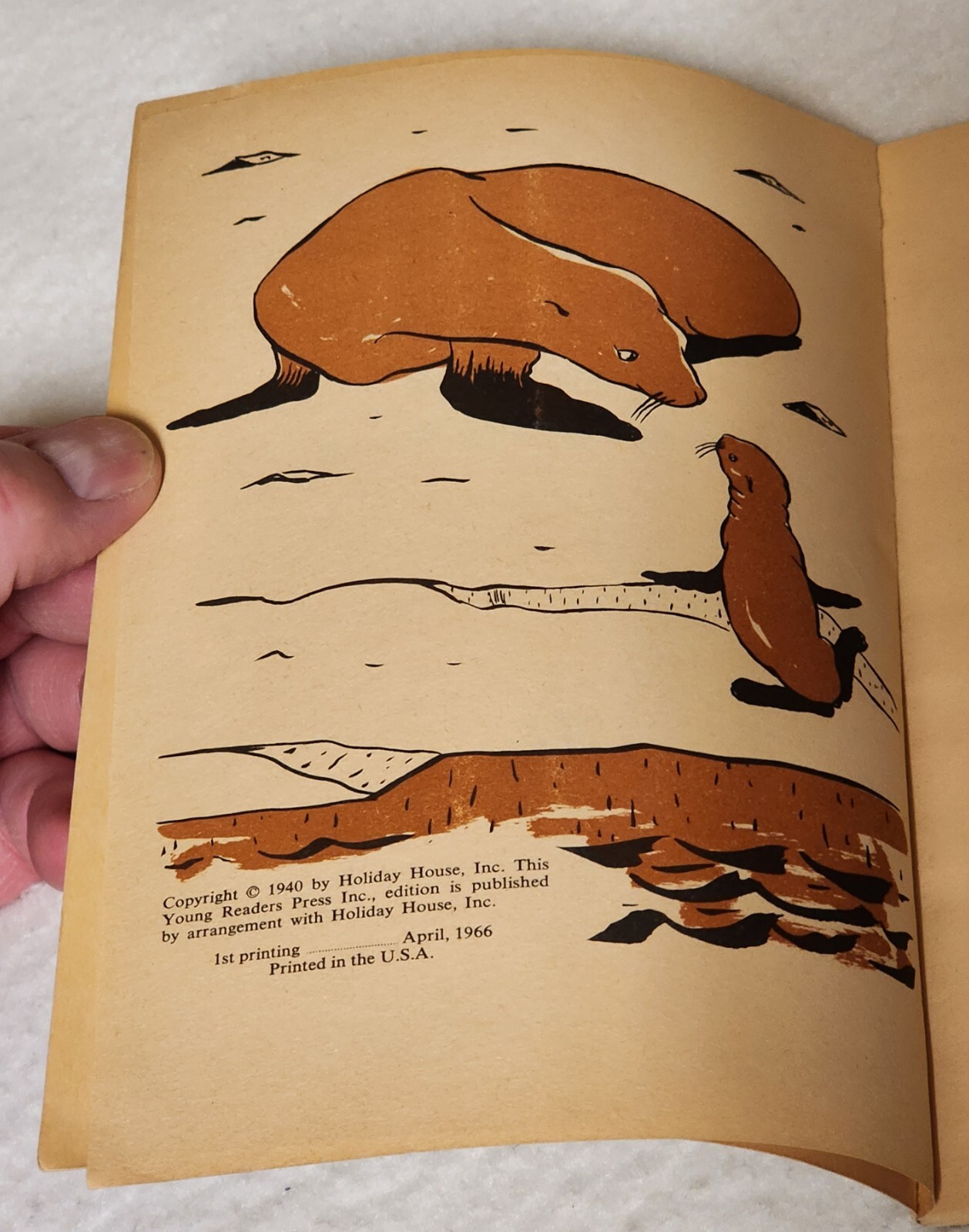 Flipper A Sea Lion by Irma Black 1966 Paperback Illustrated by Glen Rounds