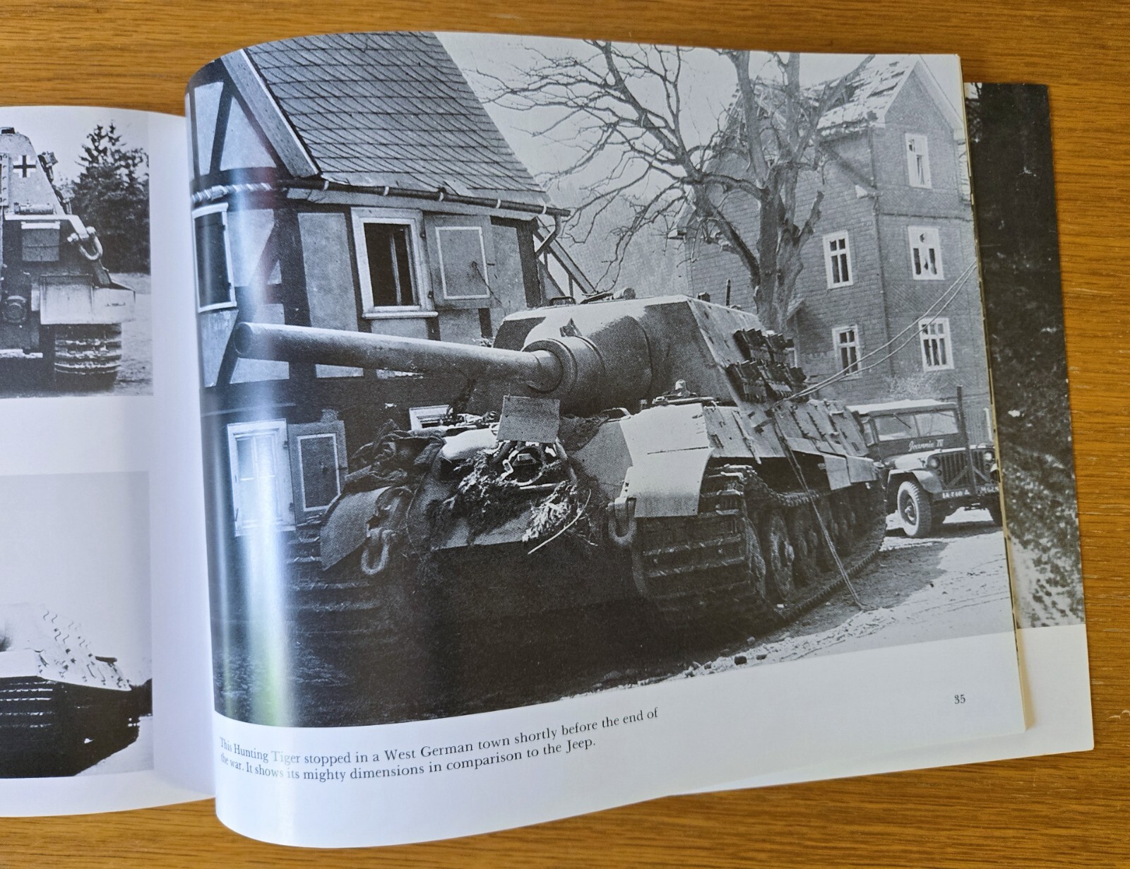 The Tiger Family by Horst Scheibert (1997, Trade) Schiffer Publishing