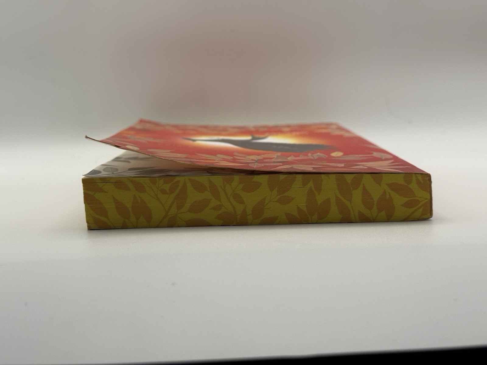 New Catching Fire The Hunger Games Book Two by Suzanne Collins
