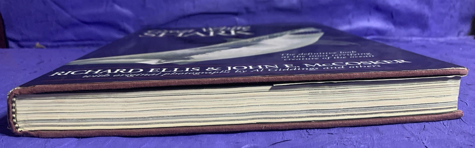GREAT WHITE SHARK By Richard Ellis & John E. Mccosker – Hardcover w/ Dust Jacket