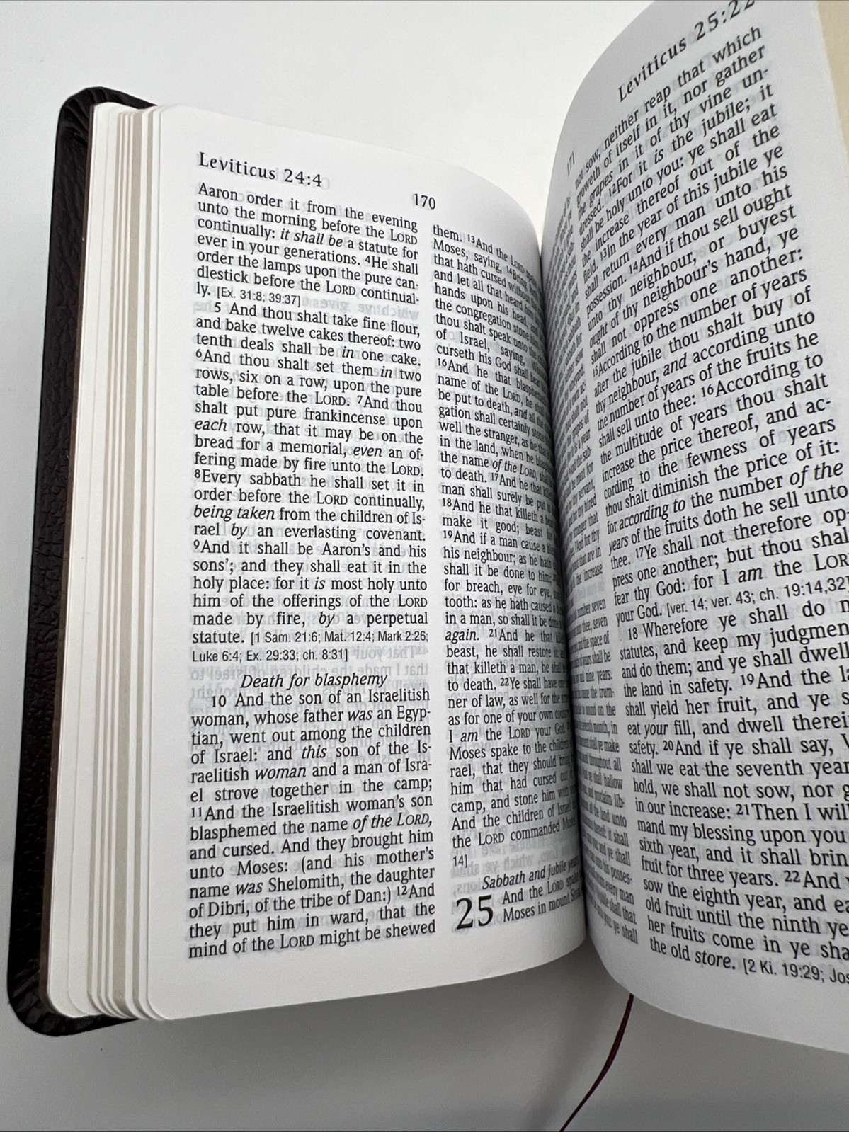 Holy Bible King James Version Reference Edition Hendrickson Bibles