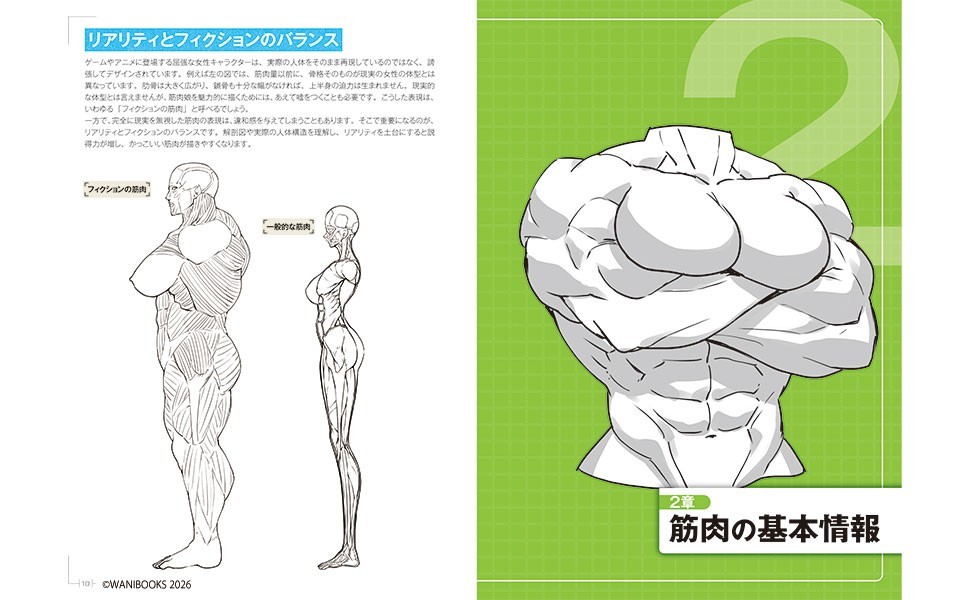 How to Draw Muscle Girls Illustration Book Manga Sketch Technique Japanese Text
