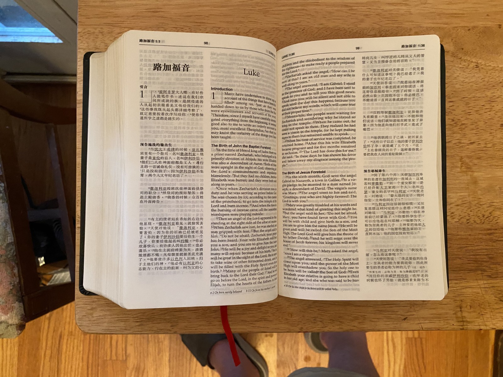 Chinese and English Holy Bible NIV standard Size,中英文《圣经》本/新国际版 -Tabulated