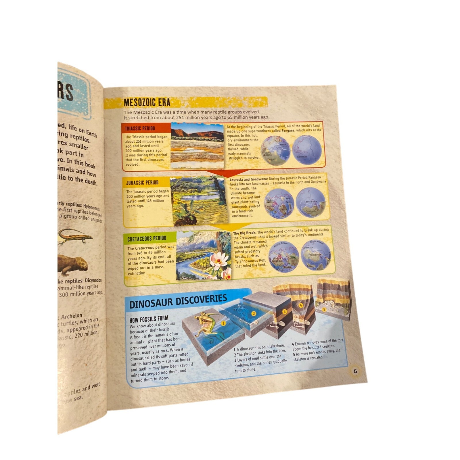 Clash of the Dinos educational paperback book elementary