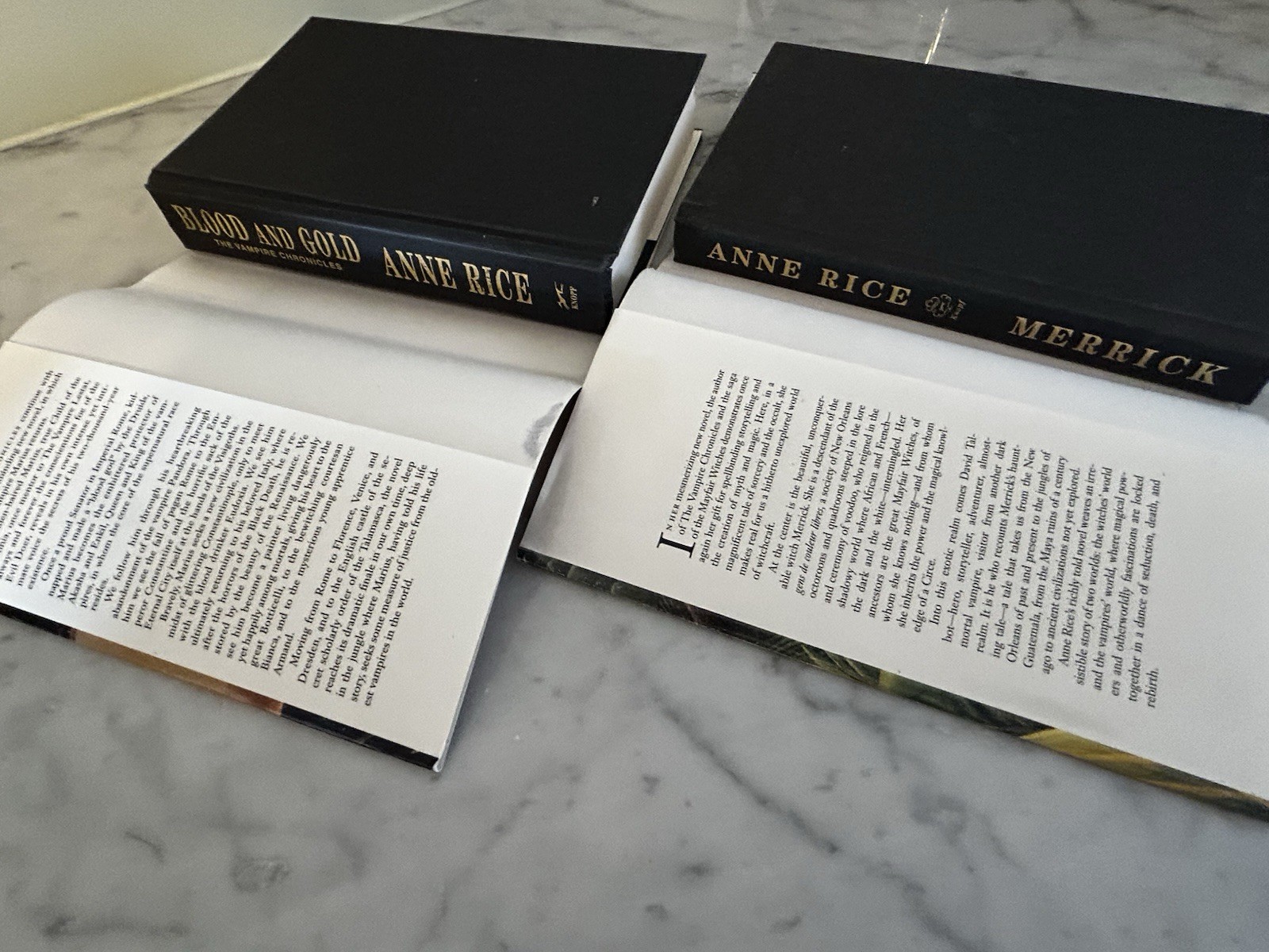 Lot of 6 Anne Rice Hardcover Books – Knopf