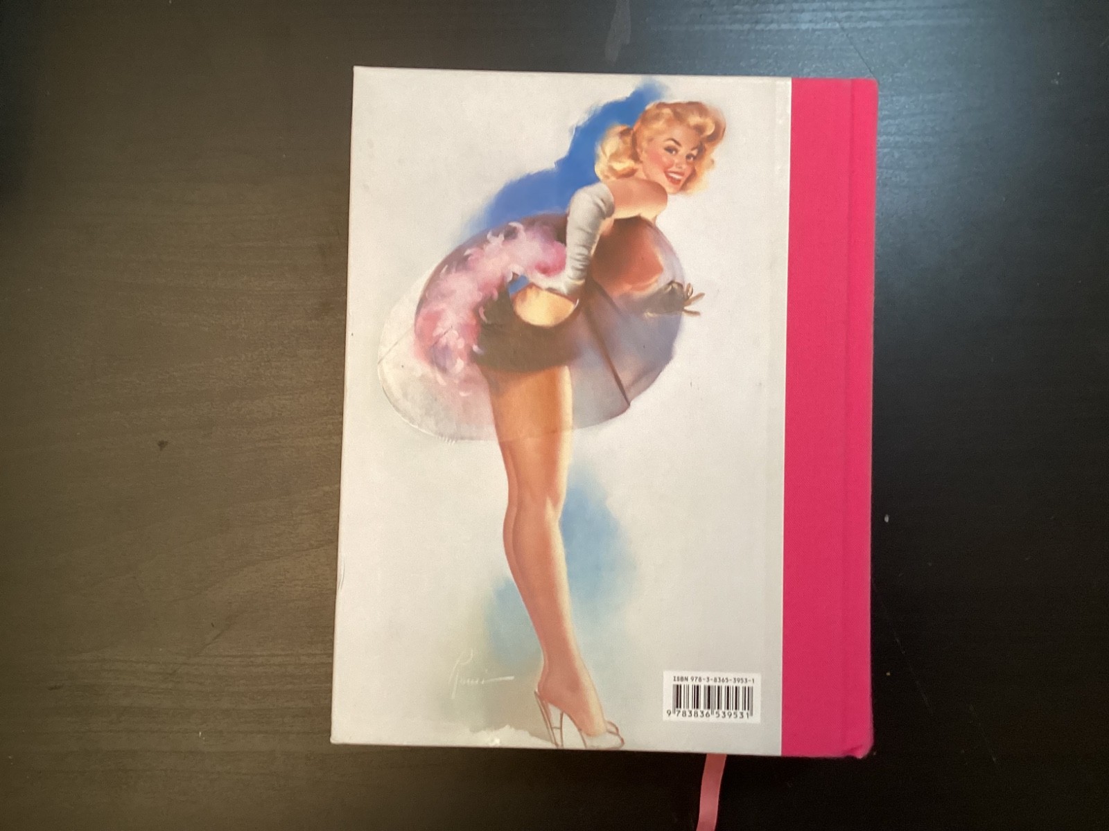 365 Day-by-Day Pin-Up Dian Hanson (2012, Hardcover Taschen)