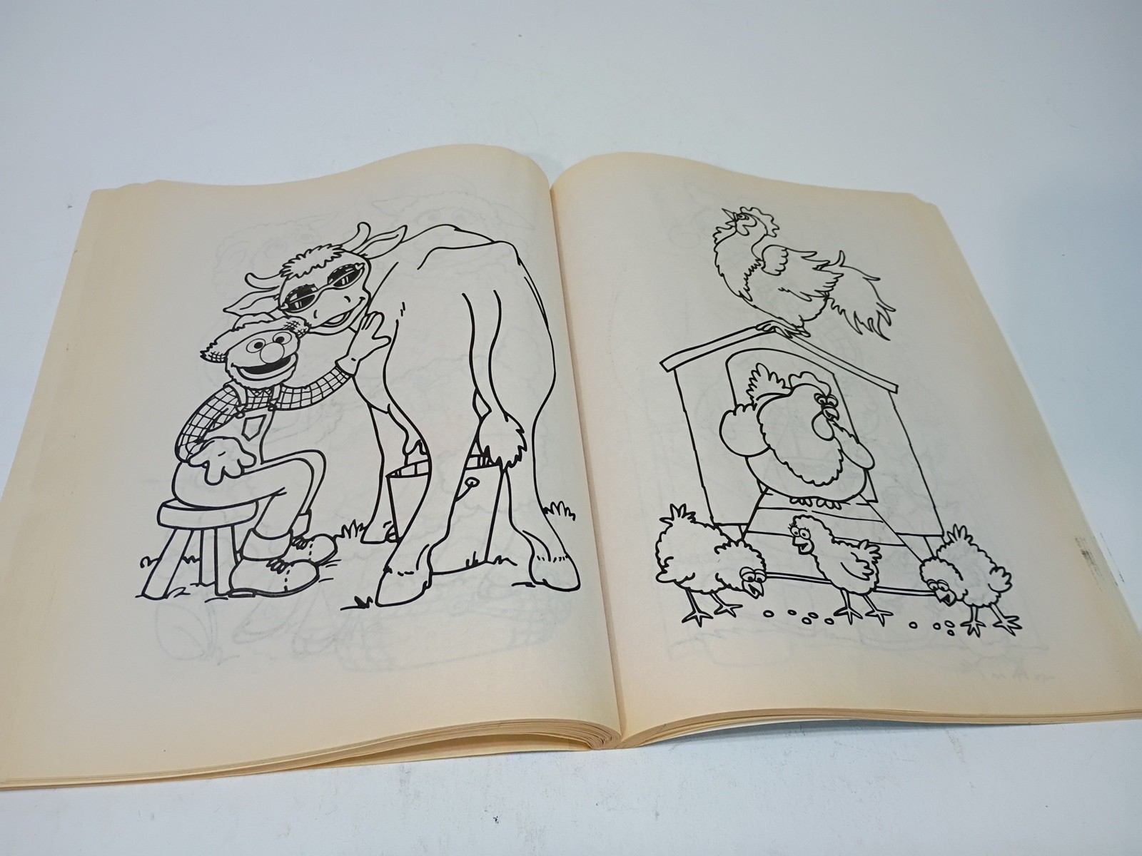 Sesame Street Animals All Around Jumbo Coloring Activity Book