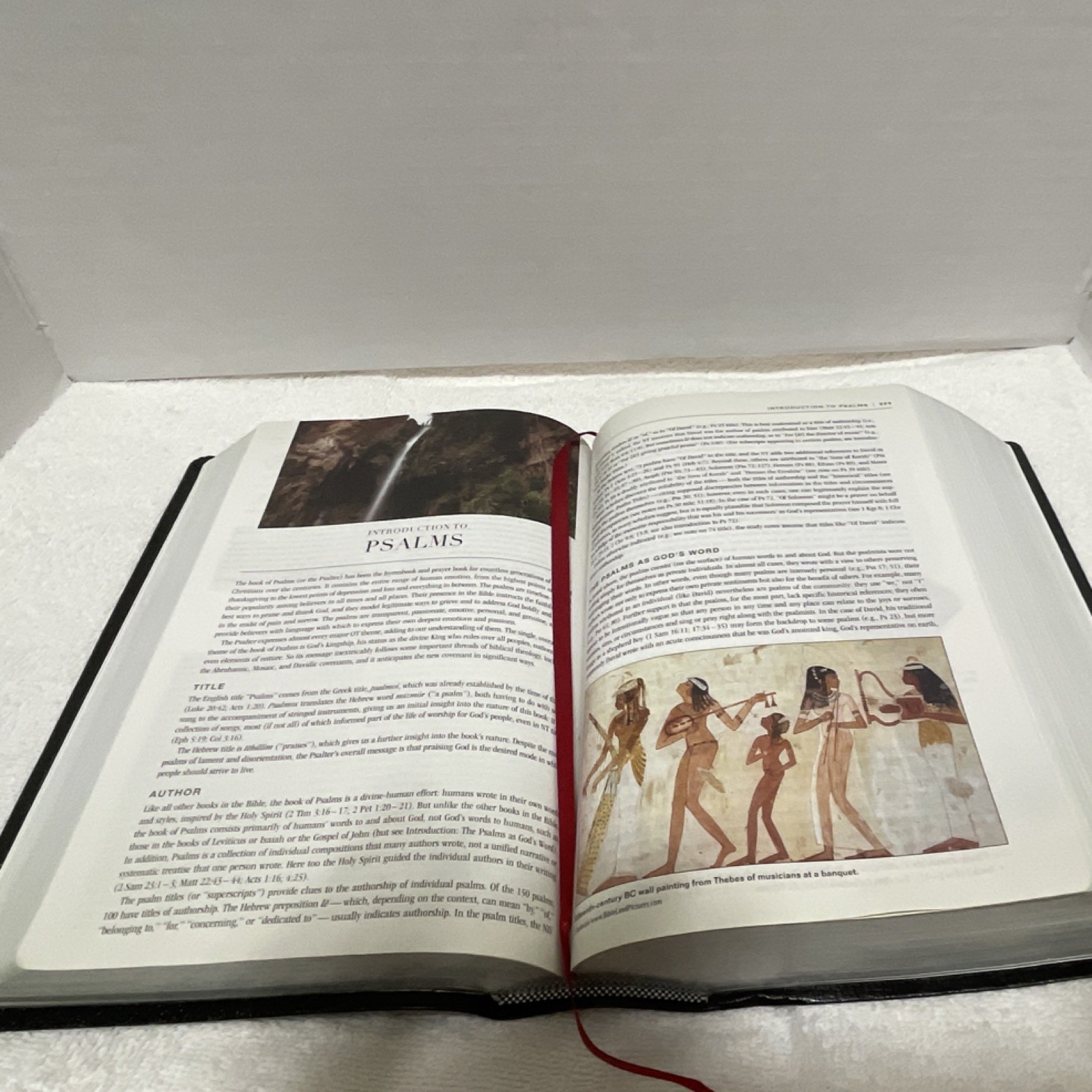Zondervan NIV Study Bible New International Version Black Hardcover Illustrated
