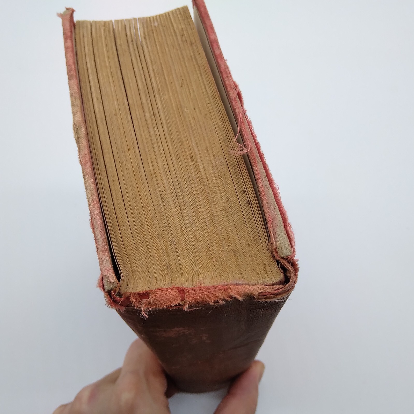 MADELINE PAYNE, THE DETECTIVES DAUGHTER by Lawrence L. Lynch 1885 HC Rare
