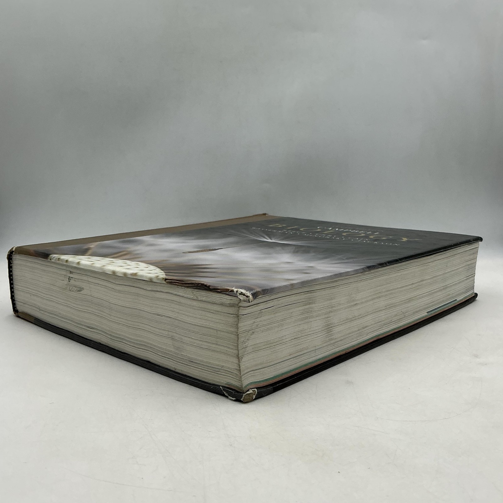 Campbell Biology Reece Urry Cain Wasserman 2014 10th Edition Black HC Pearson
