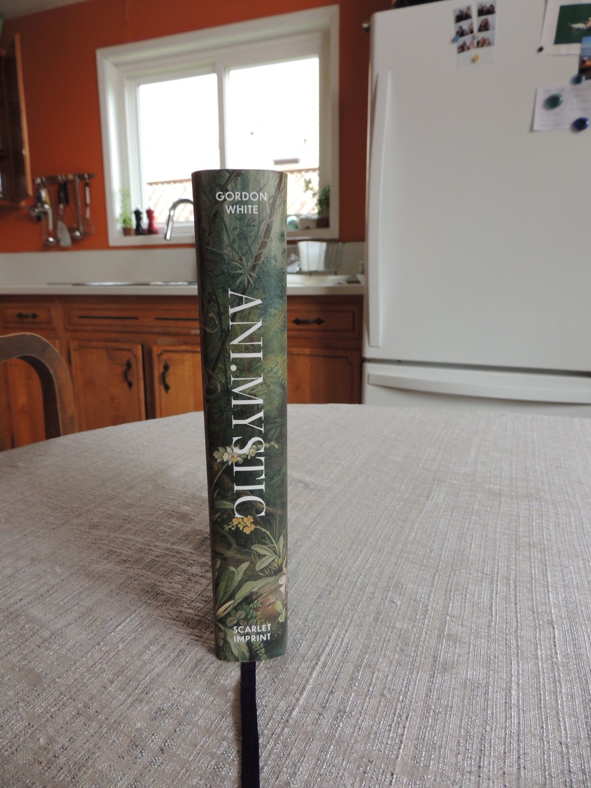 Gordon White Ani.Mystic Encounters With A Living Cosmos Scarlet Imprint Ltd/900