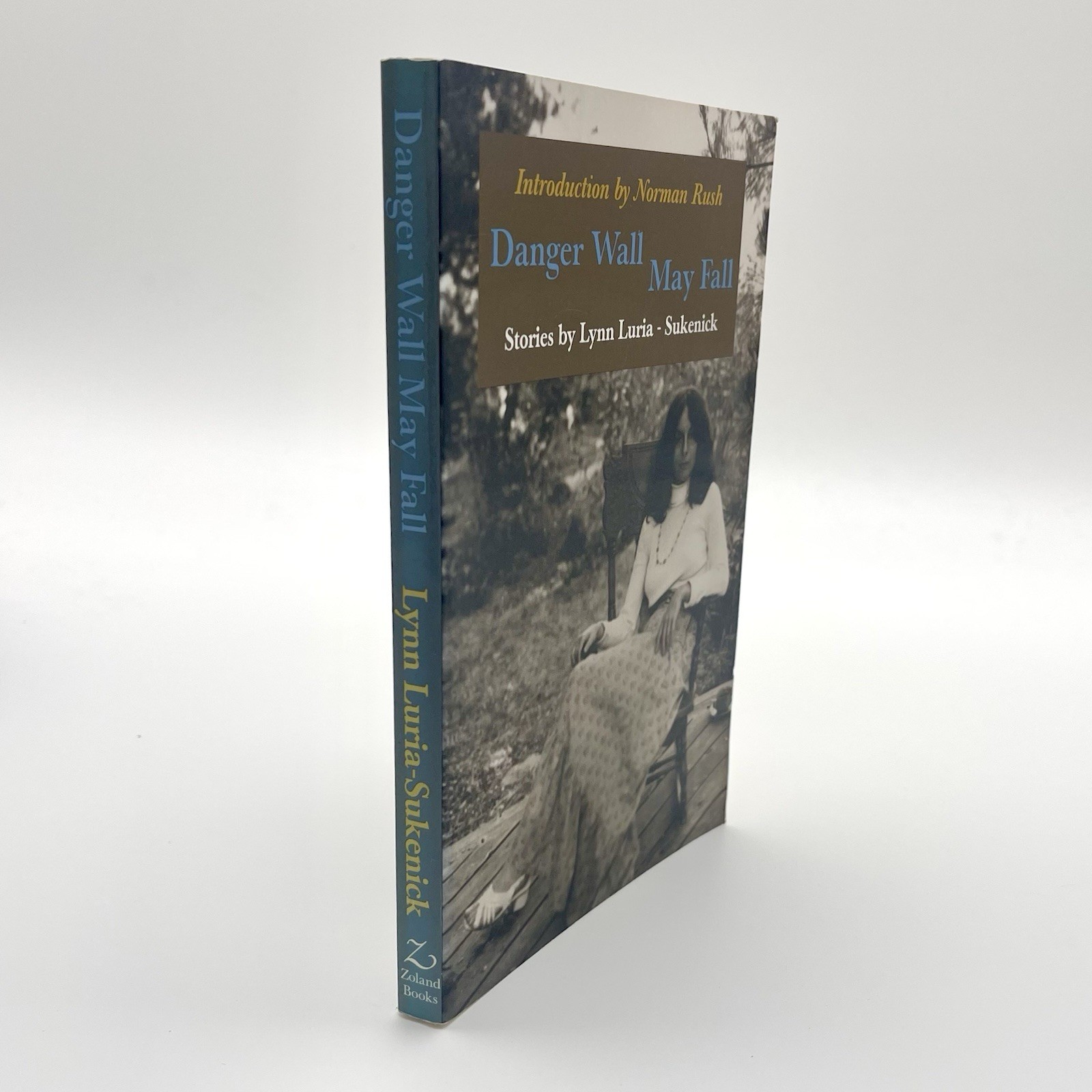 Danger Wall May Fall — Lynn Luria-Sukenick | Literary Short Stories