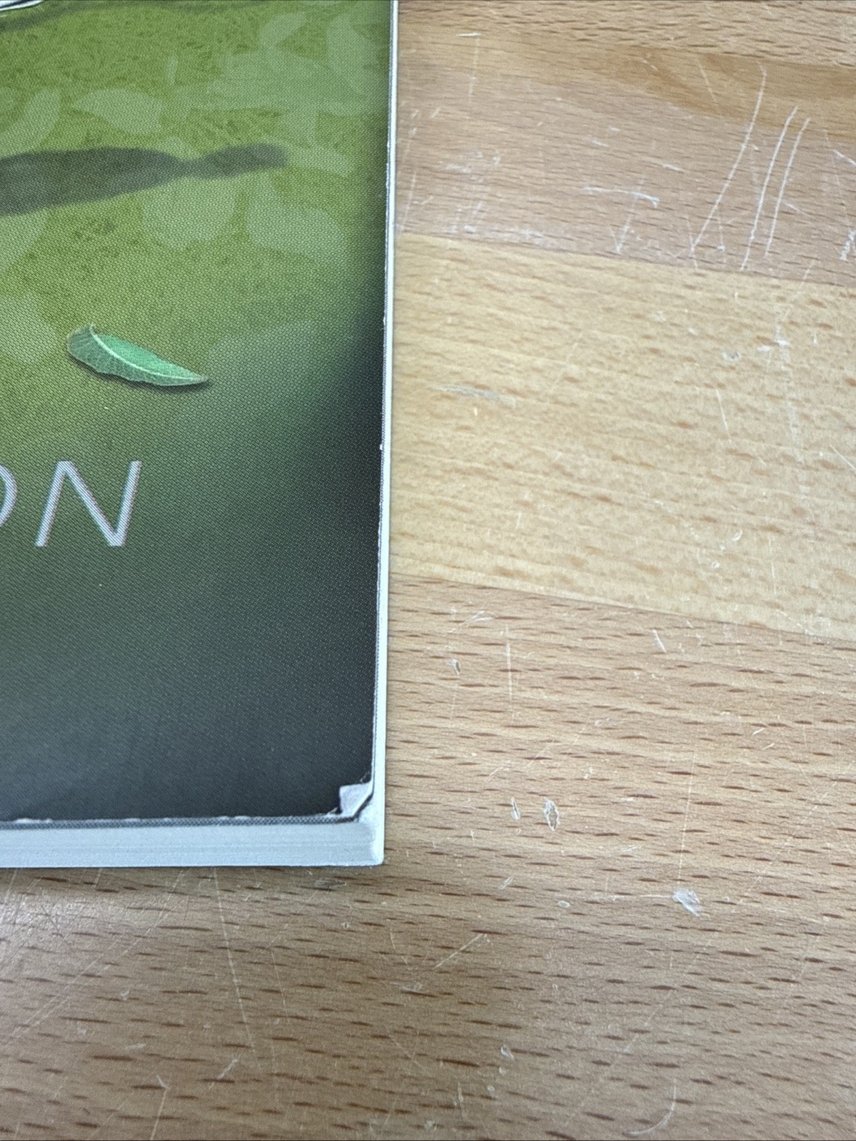 Lying Woods by Ashley Elston (2019, Trade Paperback)