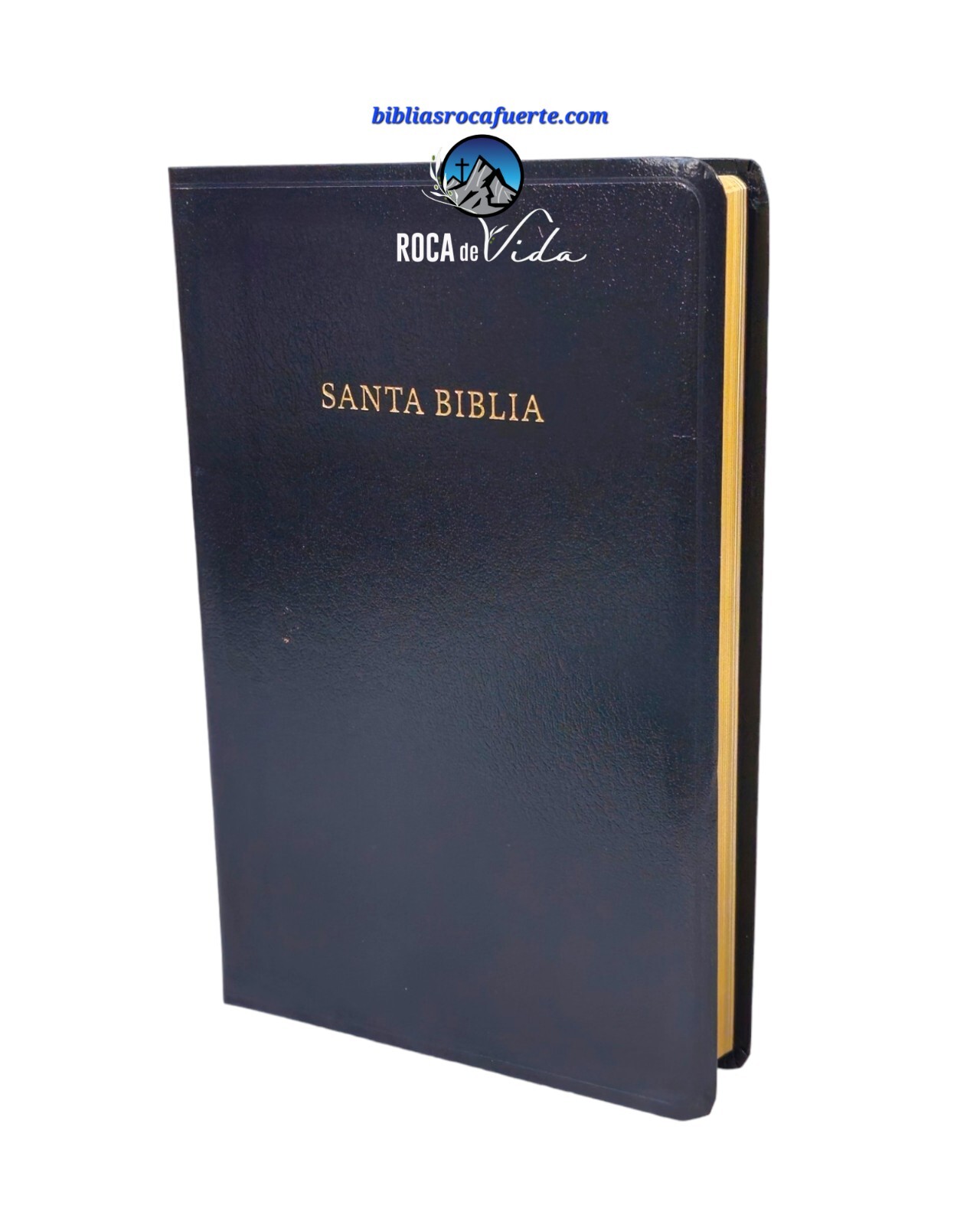 BIBLIA ANTIGUA VERSION REINA VALERA 1909 RVA CLASICA IMITACION PIEL NEGRO