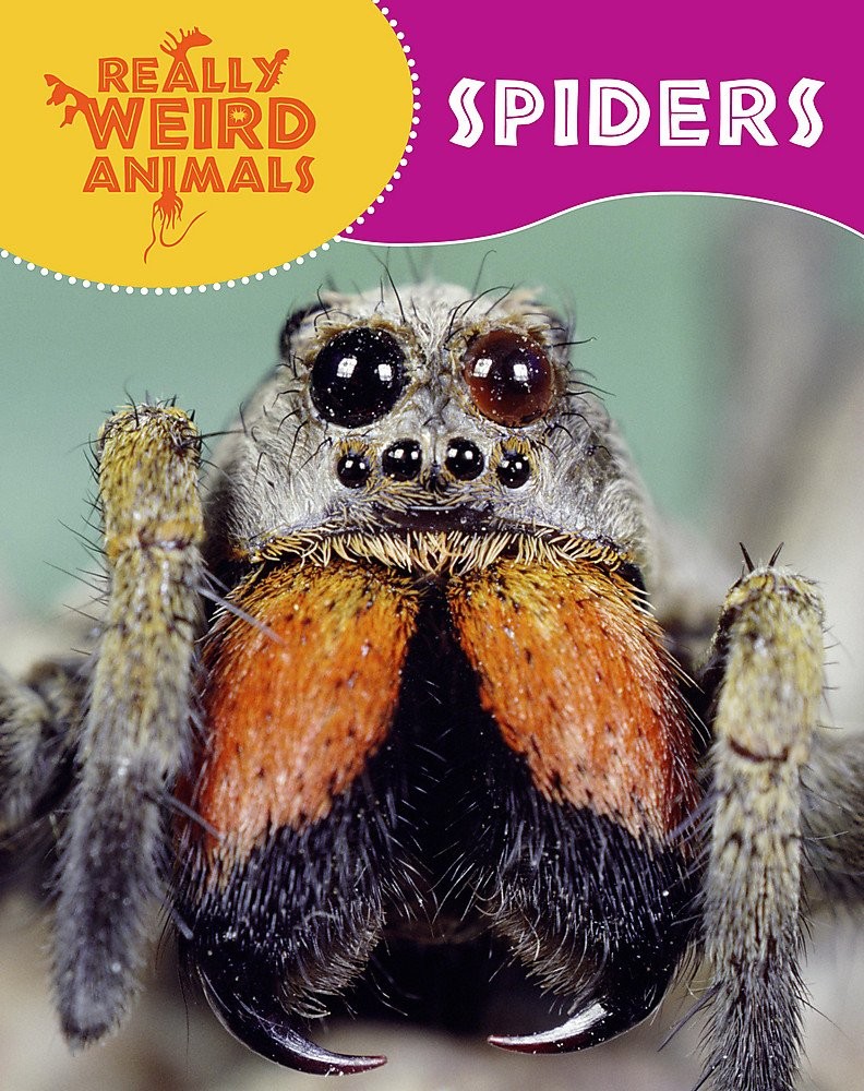 Really Weird Animals Spiders By Hibbert, Clare Clare Hibbert,