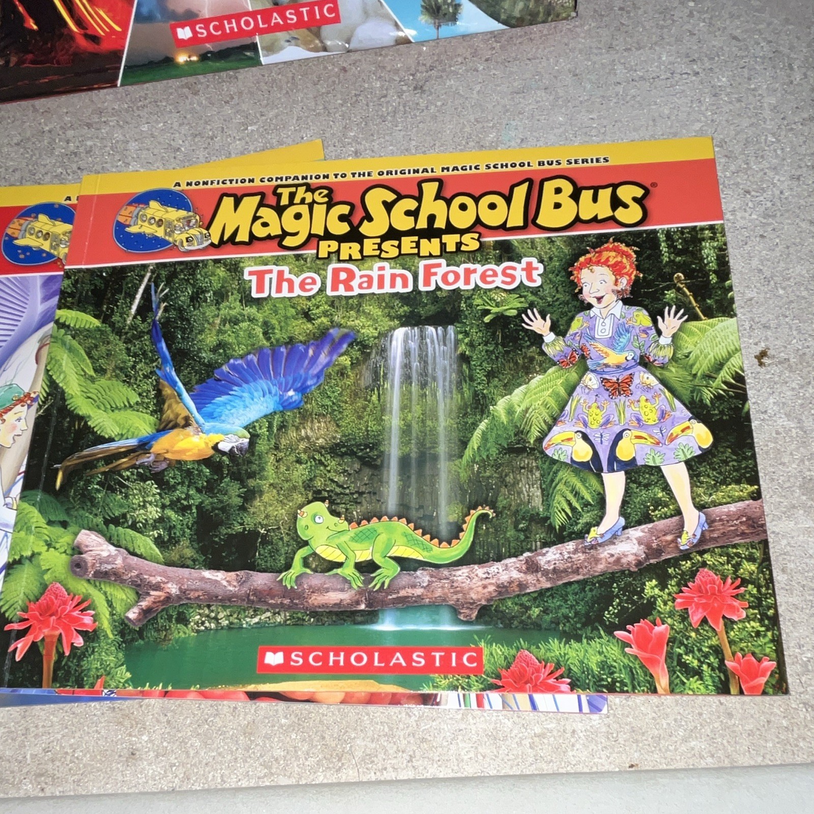 Scholastic Magic School Bus Presents 10-Book Box Set