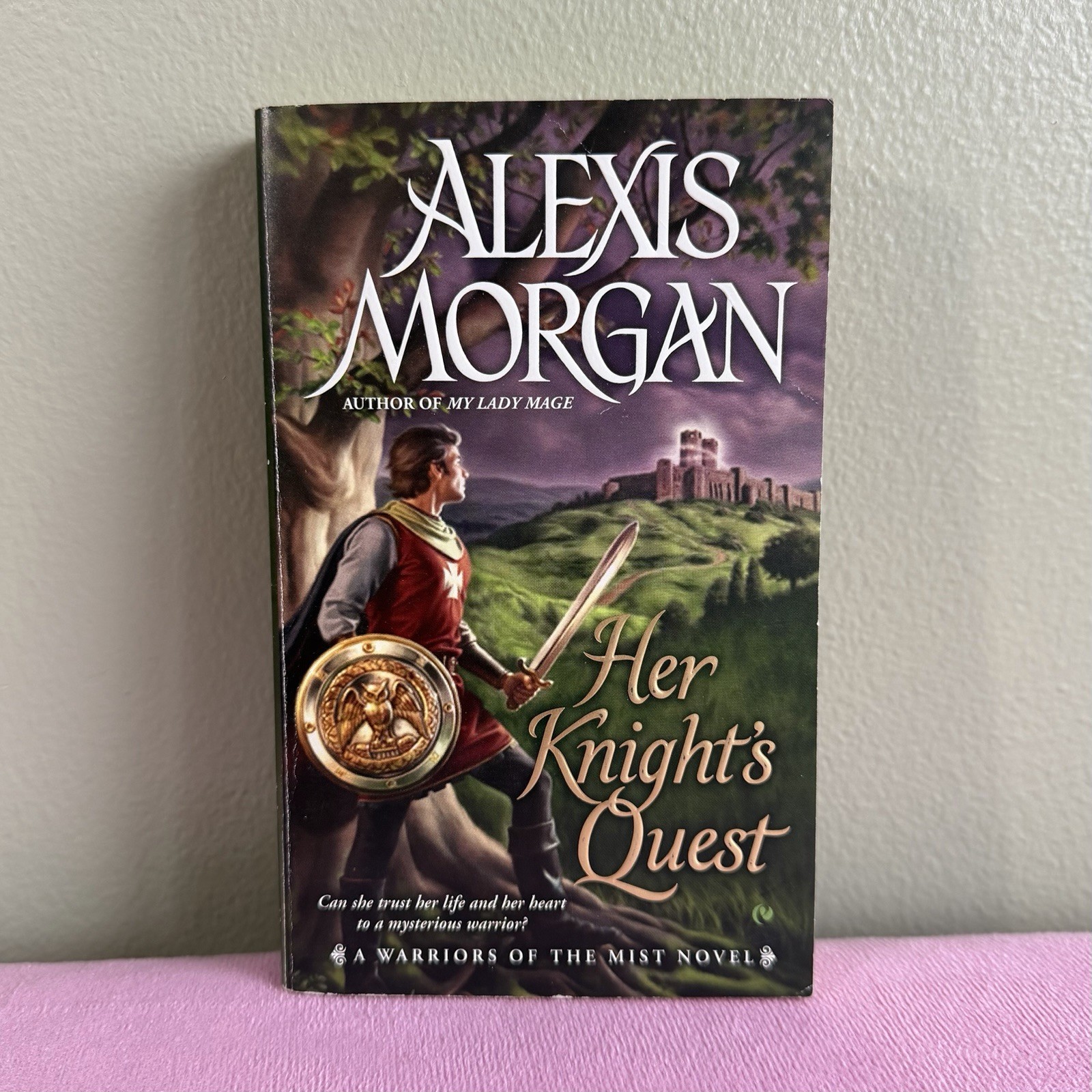 Fantasy, Romance & Historical Fiction Book Lot – Claire Delacroix, Amanda Scott
