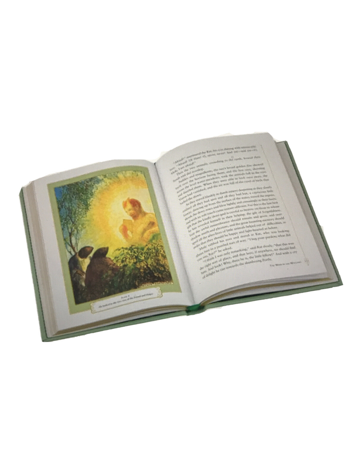 ❤️THE WIND IN THE WILLOWS Illustrated Leather Bound Collectible Edition NEW