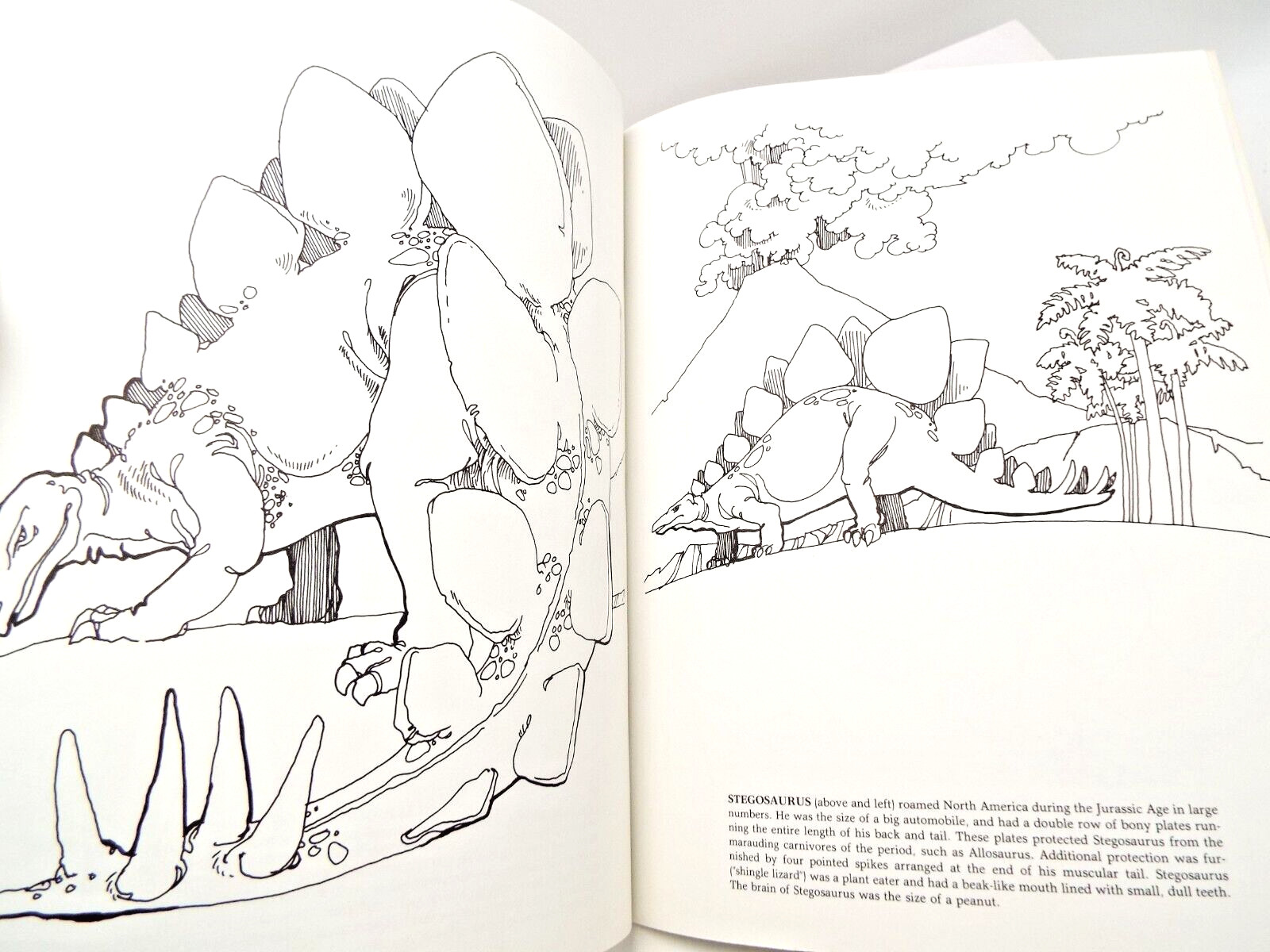 The Dinosaur Coloring Book by Anthony Rao (PB) & 2 Dinosaur Sticker Sets Vintage