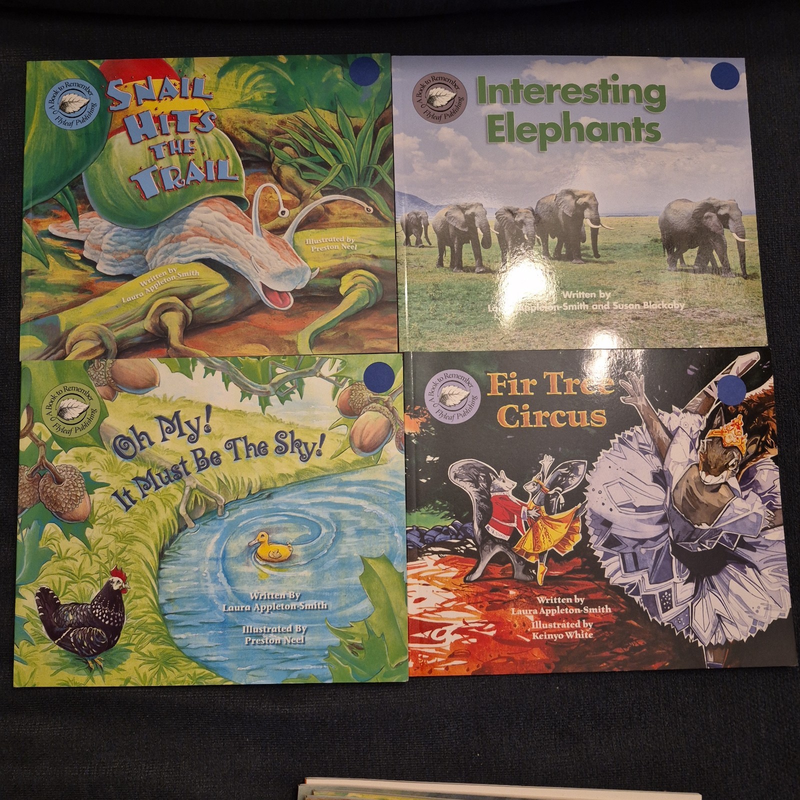 LOT OF 20 A BOOK TO REMEMBER FLYLEAF PUBLISHING DECODABLE READING HOMESCHOOL