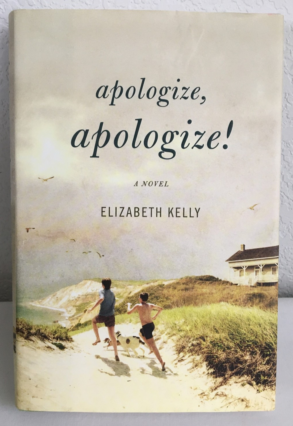 Apologize, Apologize! by Elizabeth Kelly (2009, Hardcover)