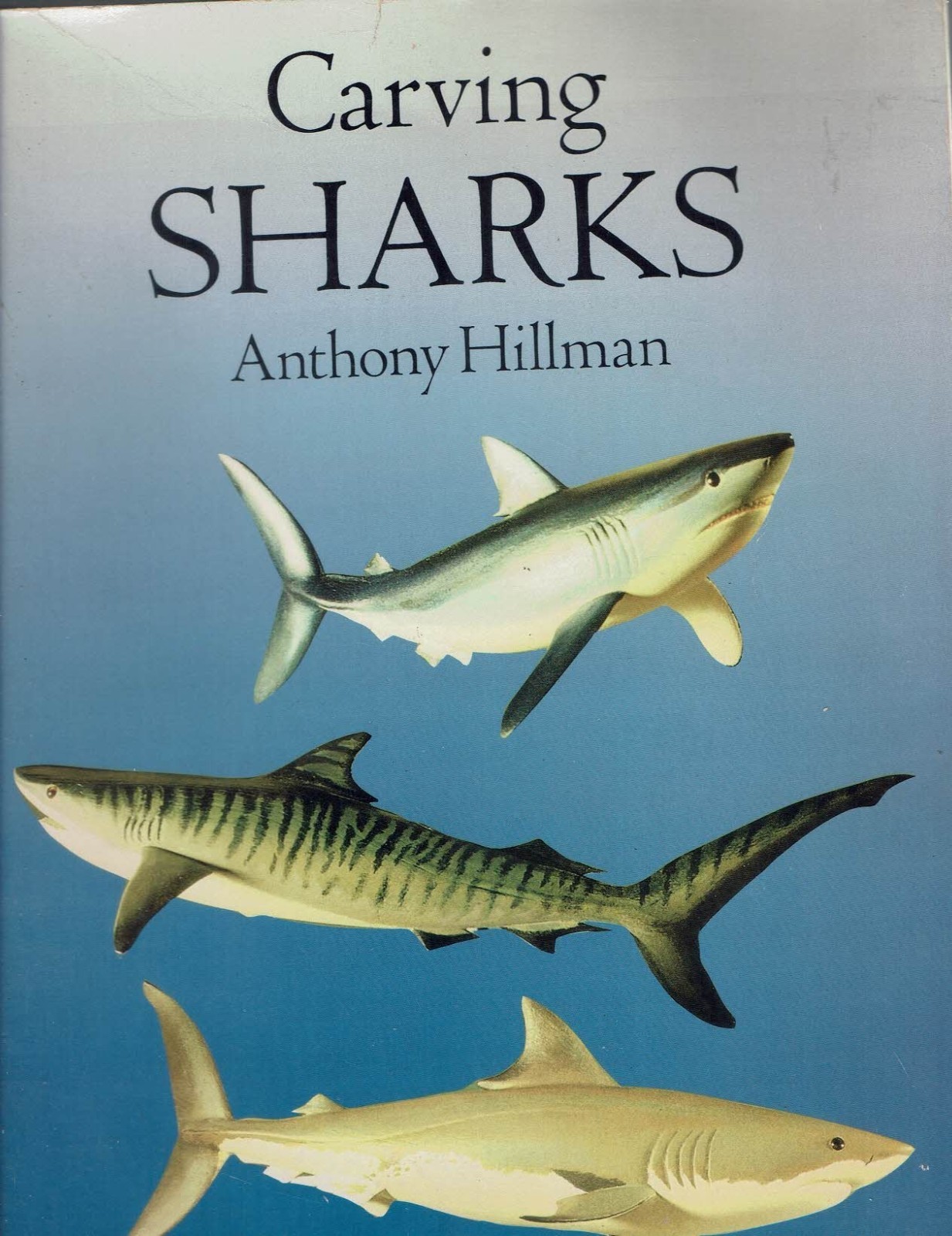 Carving Sharks by Anthony Hillman – Paperback book