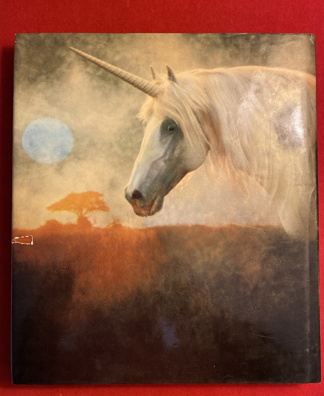 The Unicorn of Kilimanjaro by Robert Vavra 1988 1st Edition Hardcover