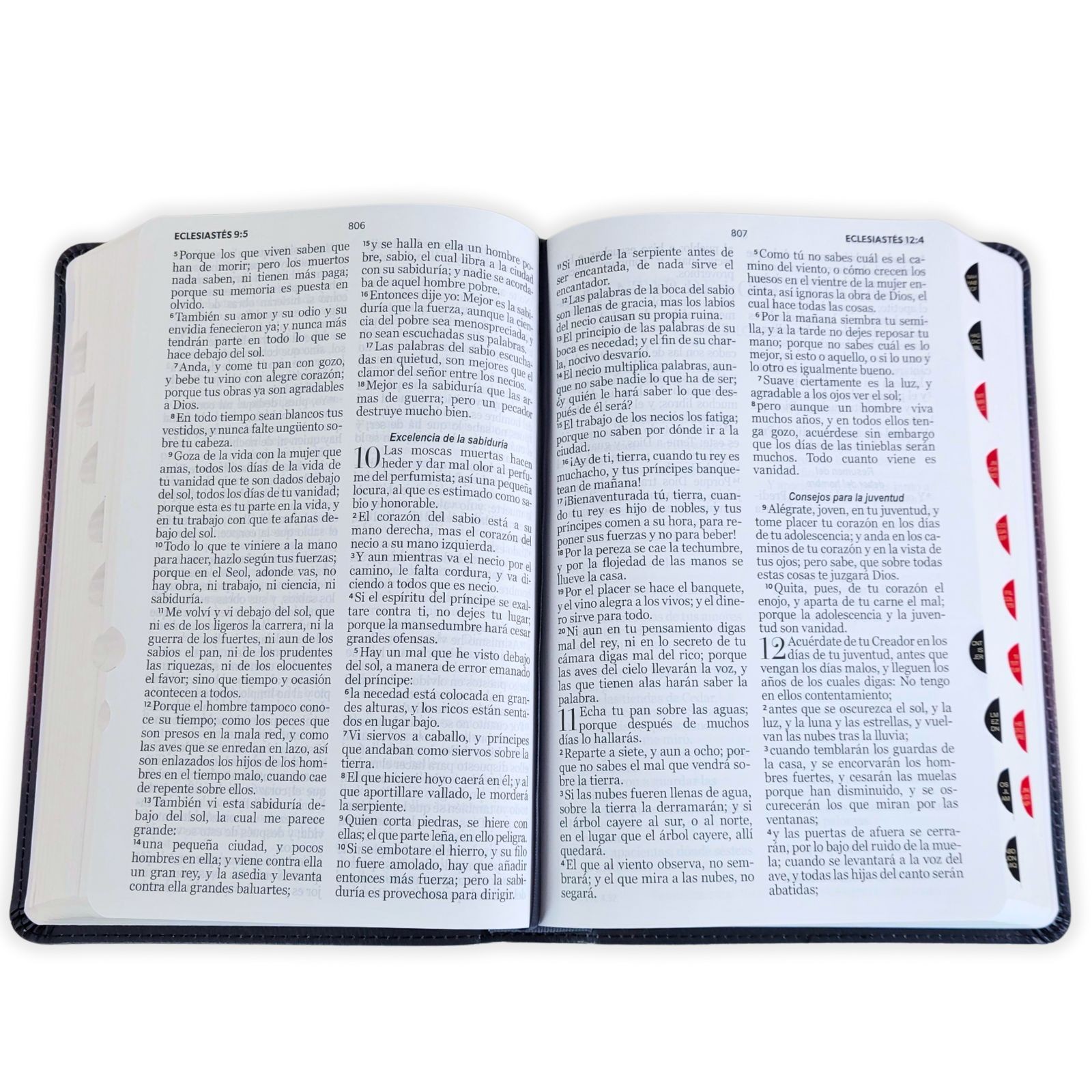 Biblia Letra Grande 12 puntos RV19 armadura de Dios con indice – Efesios 6:11