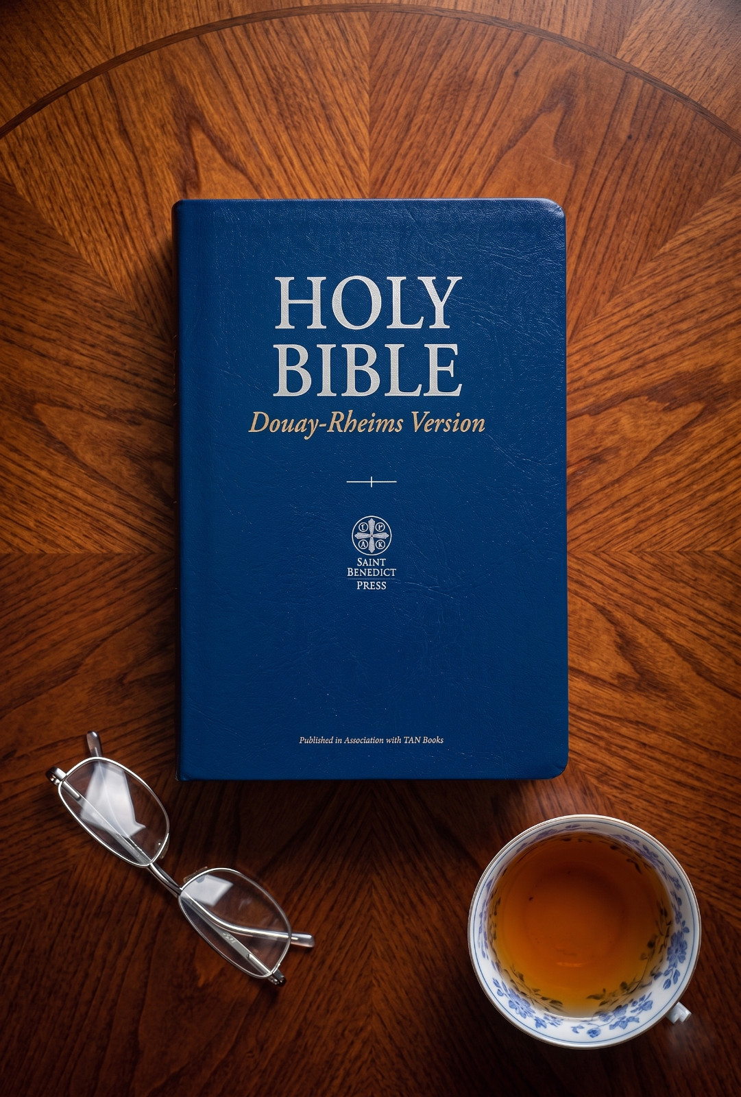 Douay-Rheims Bible Paperbound TAN Books Catholic Holy Scripture New Edition