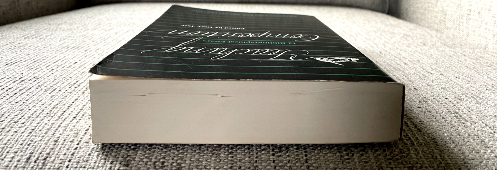 Teaching Composition ed. by Gary Tate 1987 Full Size PB Good Cond. Ships Free