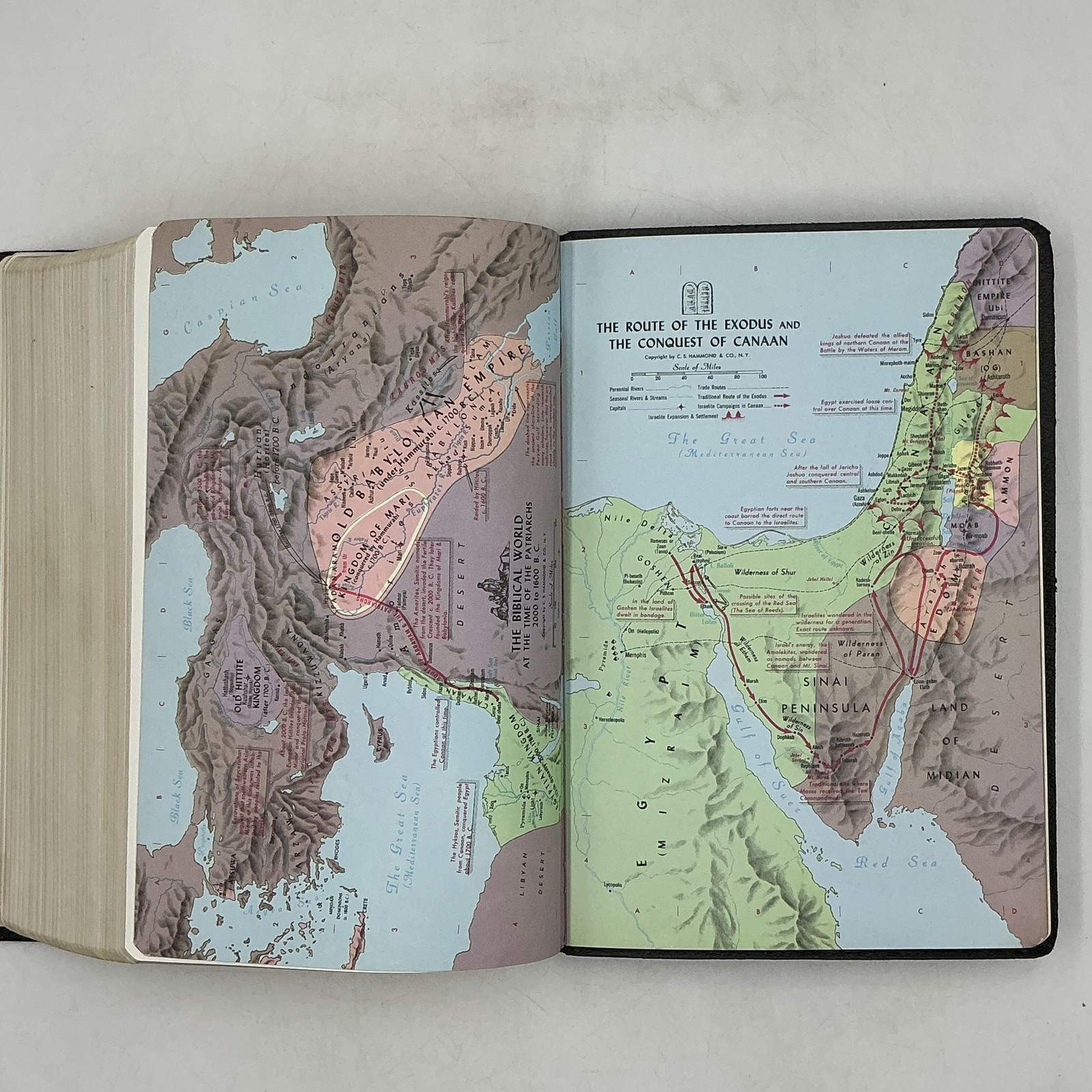 New American Standard Bible Reference Edition Lockman 1973 Morocco Leather