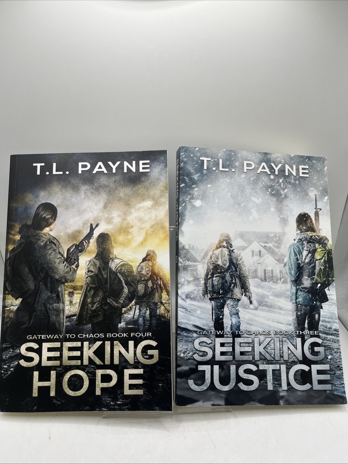Gateway to chaos book series set of 2- Book 3 Seeking Hope & 4 Seeking Justice