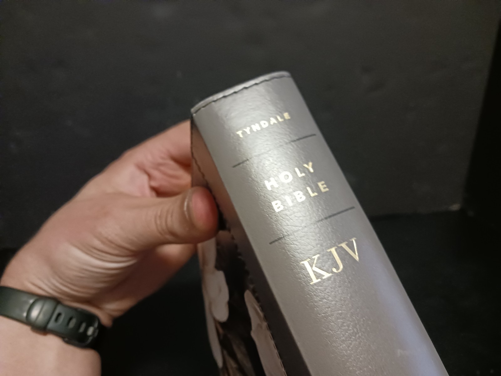Tyndale KJV Personal Giant Print Bible Filament-Enabled Leatherlike Magnolia