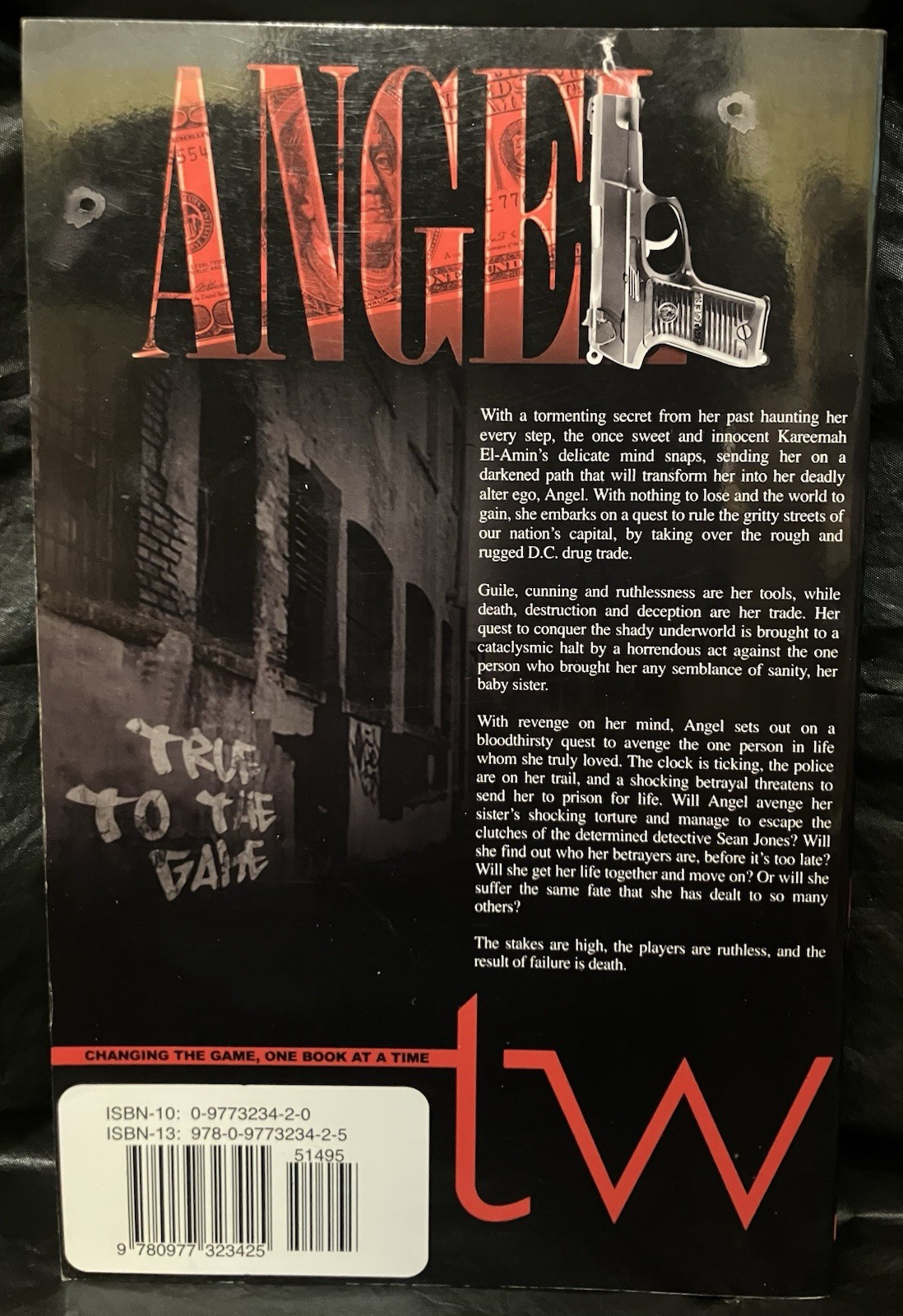 2006 “ANGEL” Paperback Book! By Teri Woods, GOOD